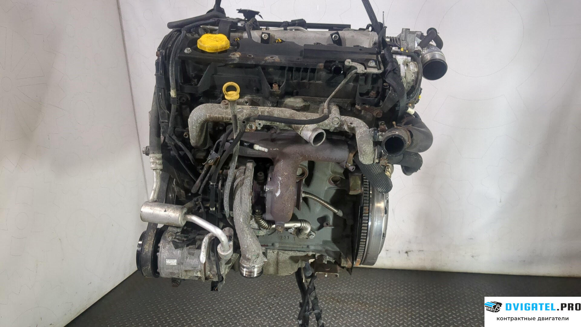 Двигатель Suzuki SX4 2006 - 2014 D19AA 1.9 л., Дизель, Турбо, артикул 9010114
