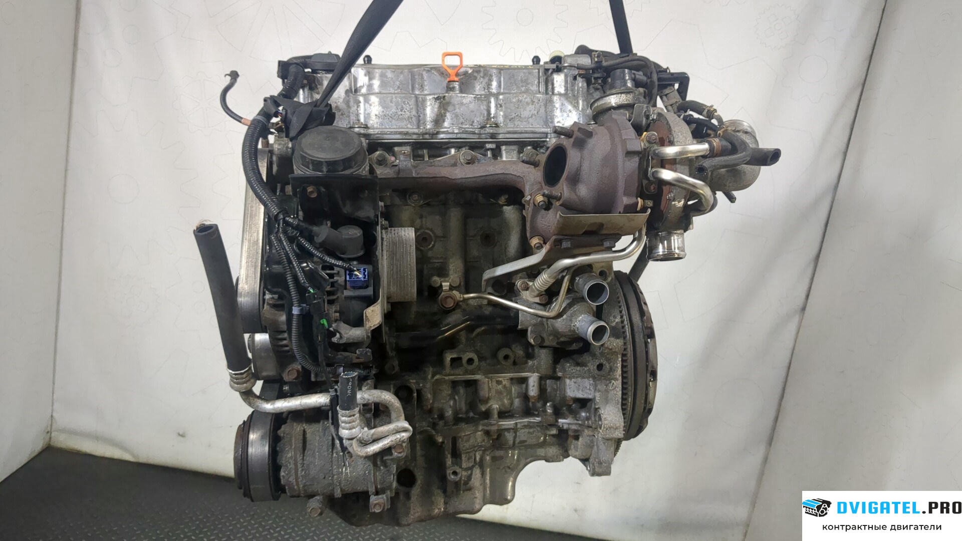 Двигатель Honda Accord 8 2008 - 2013 N22B1 2.2 л., Дизель, Турбо, артикул 8948473