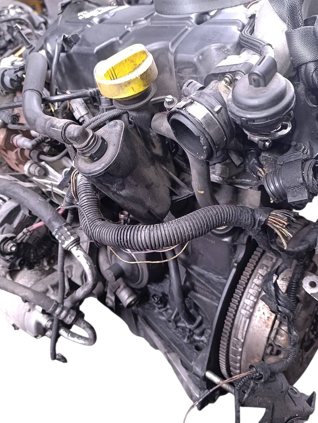 Двигатель F9QB800 Renault Scenic 2 1.9 Дизель