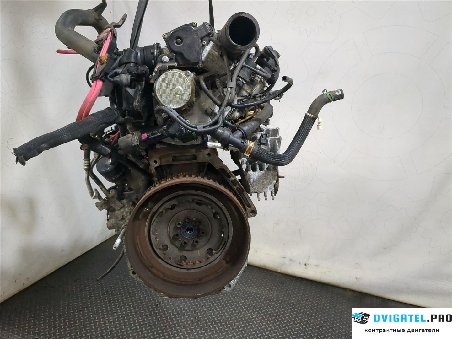 Двигатель Renault Scenic 2009 - 2012 K9K 836, K9K 837 1.5 л., Дизель, DCI, артикул 8119256