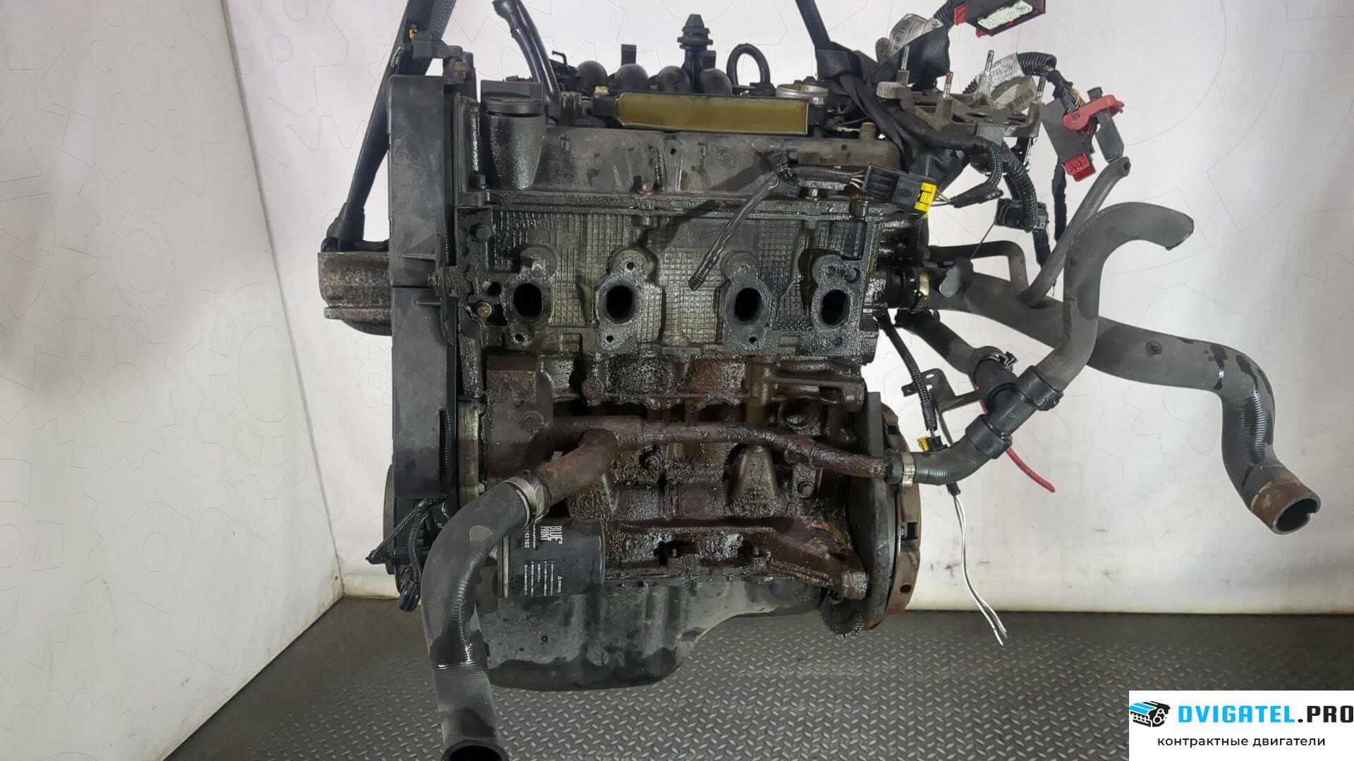 Двигатель Fiat Grande Punto 2005 - 2011 199 A 4.000 1.2 л., Бензин, Инжектор, артикул 8913707