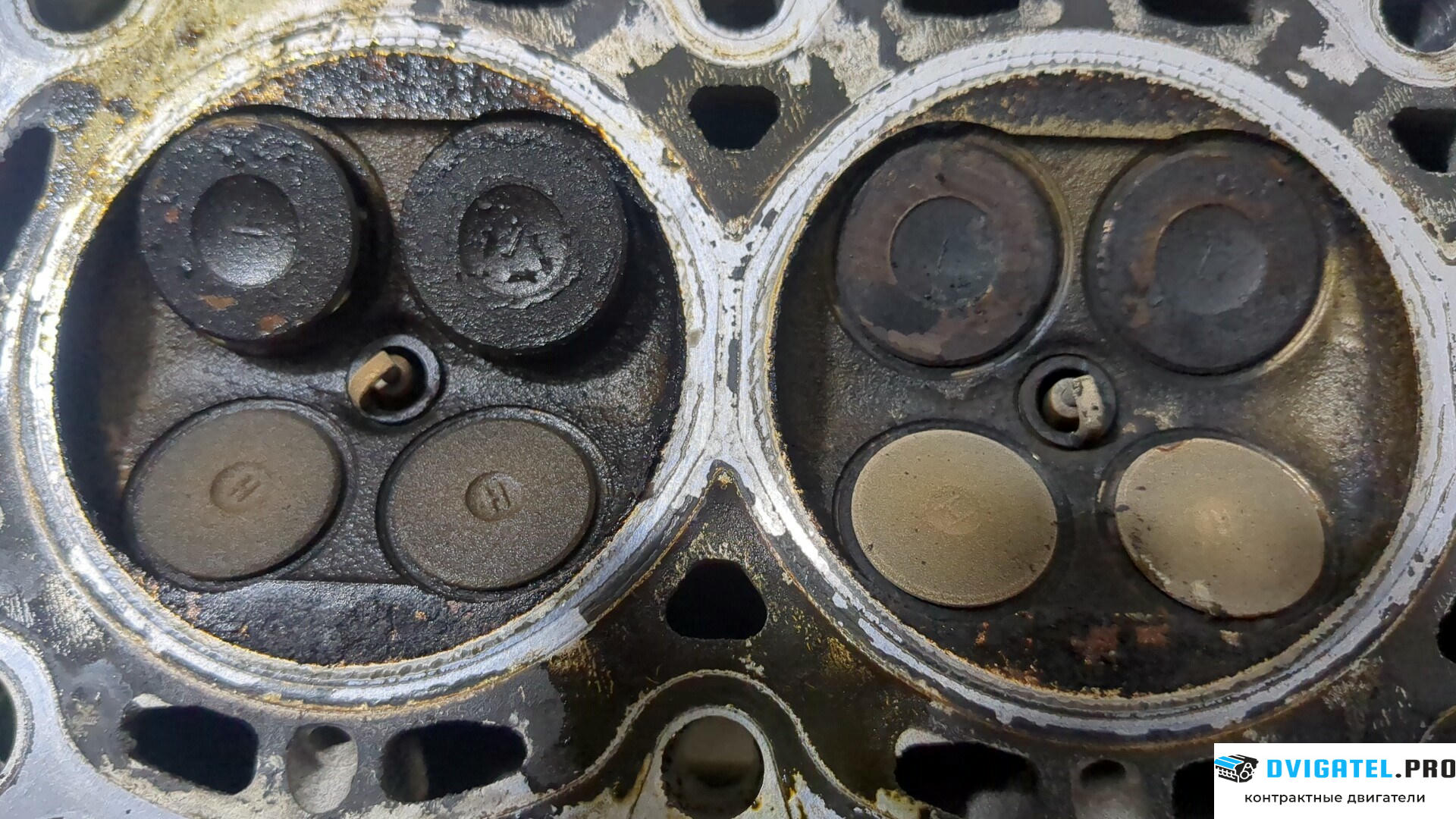 Головка блока цилиндров (ГБЦ) Ford Fusion 2002 - 2012 FXJA, FXJB, FXJC 1.4 л., Бензин, Инжектор, артикул 9154578