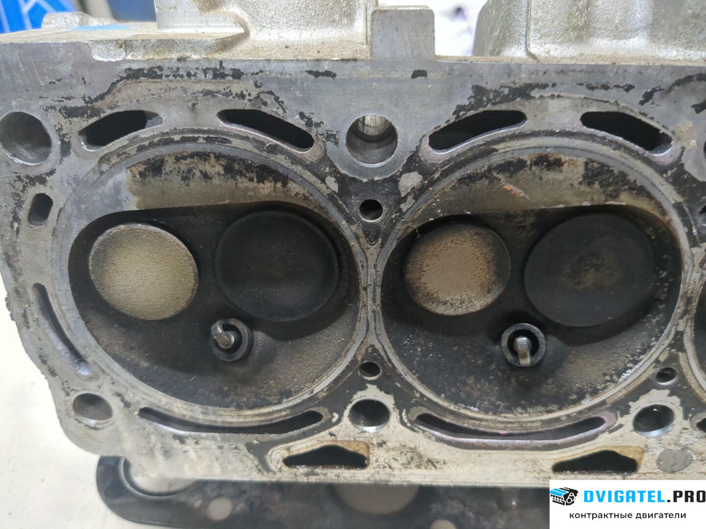 Головка блока цилиндров (ГБЦ) Volkswagen Polo 1994 - 1999 AUD 1.4 л., Бензин, Инжектор, артикул 9129314