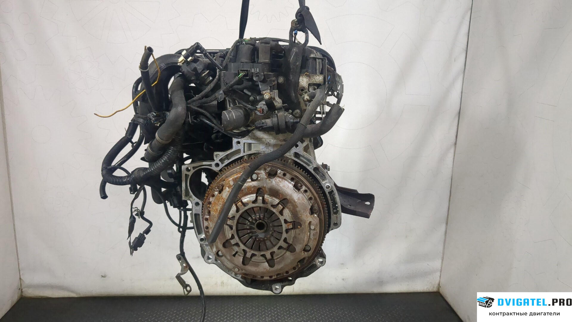 Двигатель Ford Focus 2 2005 - 2008 SHDA 1.6 л., Бензин, HPDC Инжектор, артикул 9179324