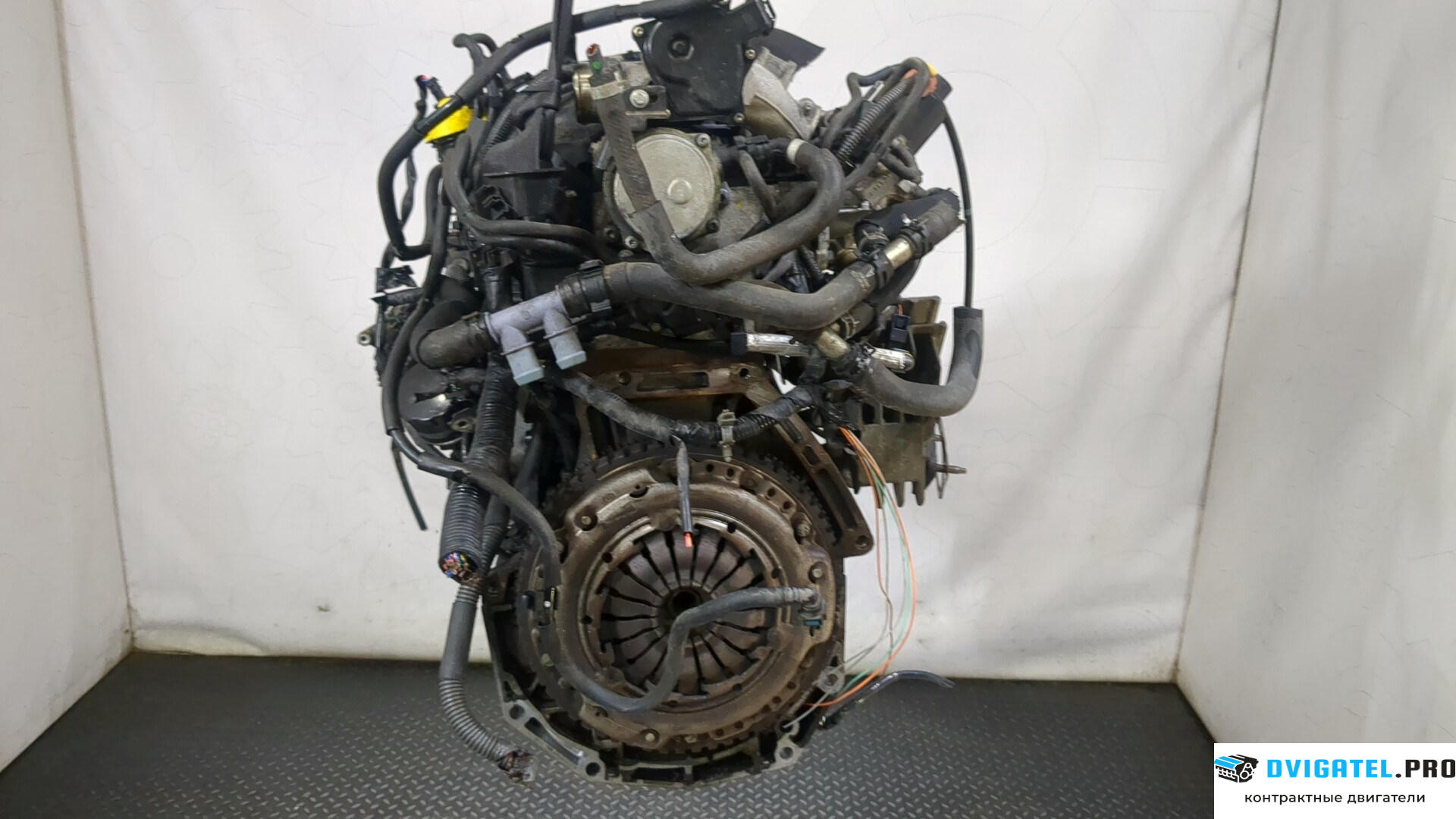 Двигатель Nissan Note E11 2006 - 2013 K9K 1.5 л., Дизель, DCI, артикул 9238762