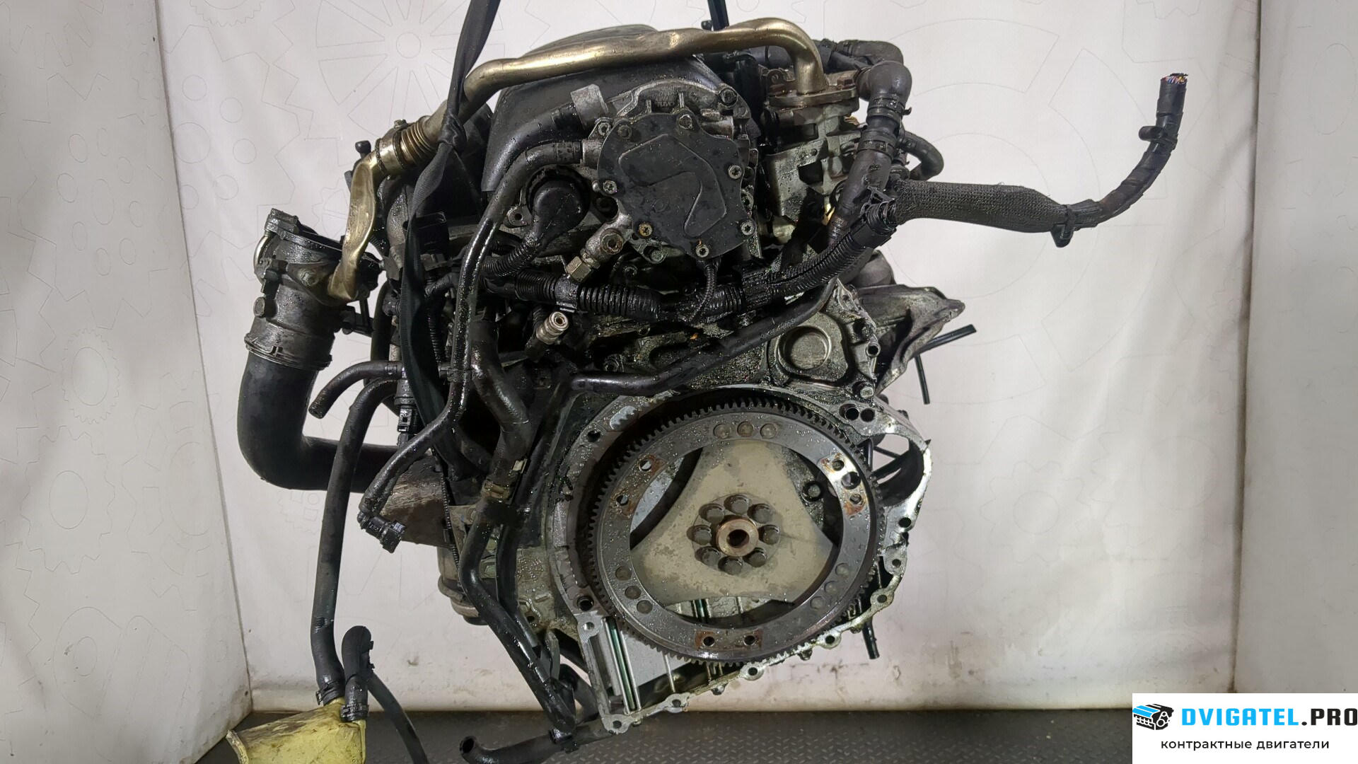 Двигатель Volkswagen Touareg 2002 - 2007 BAC 2.5 л., Дизель, TDI, артикул 8744142