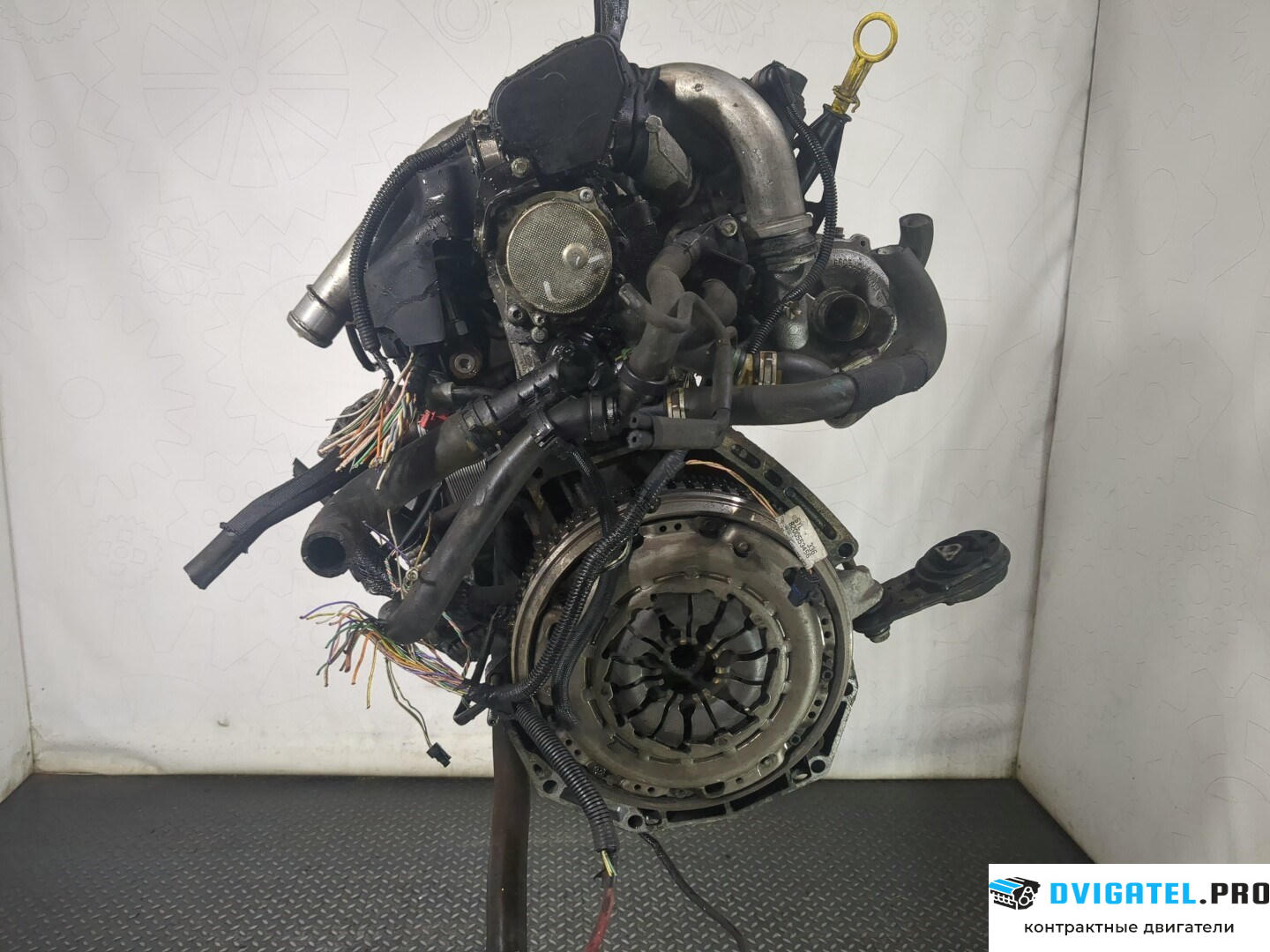 Двигатель Renault Scenic 2003 - 2009 K9K 732 1.5 л., Дизель, DCI, артикул 8629157