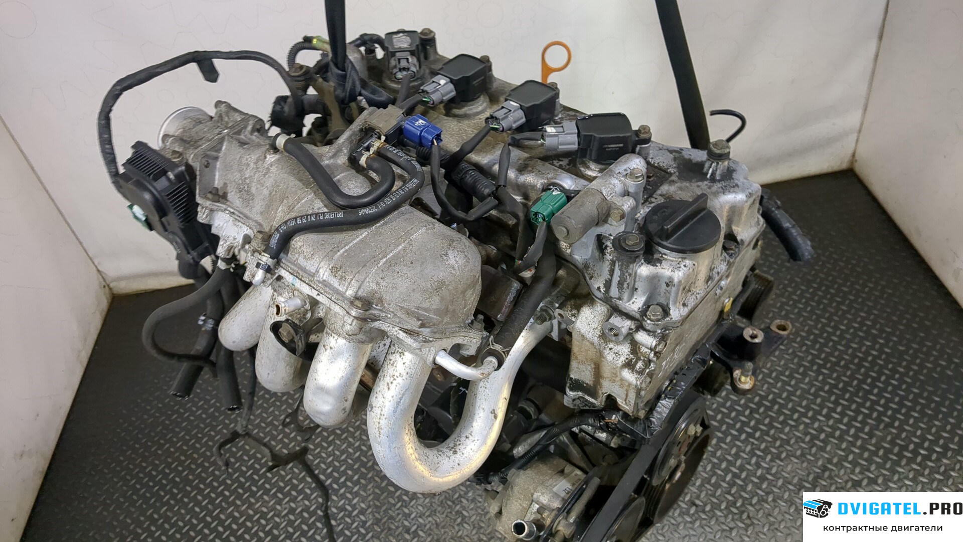 Двигатель Nissan Primera P12 2002 - 2007 QG18DE 1.8 л., Бензин, Инжектор, артикул 9212621
