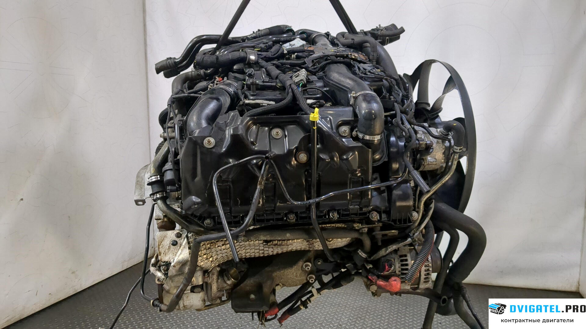 Двигатель Land Rover Range Rover Sport 2005 - 2009 368DT 3.6 л., Дизель, Турбо, артикул 9213282