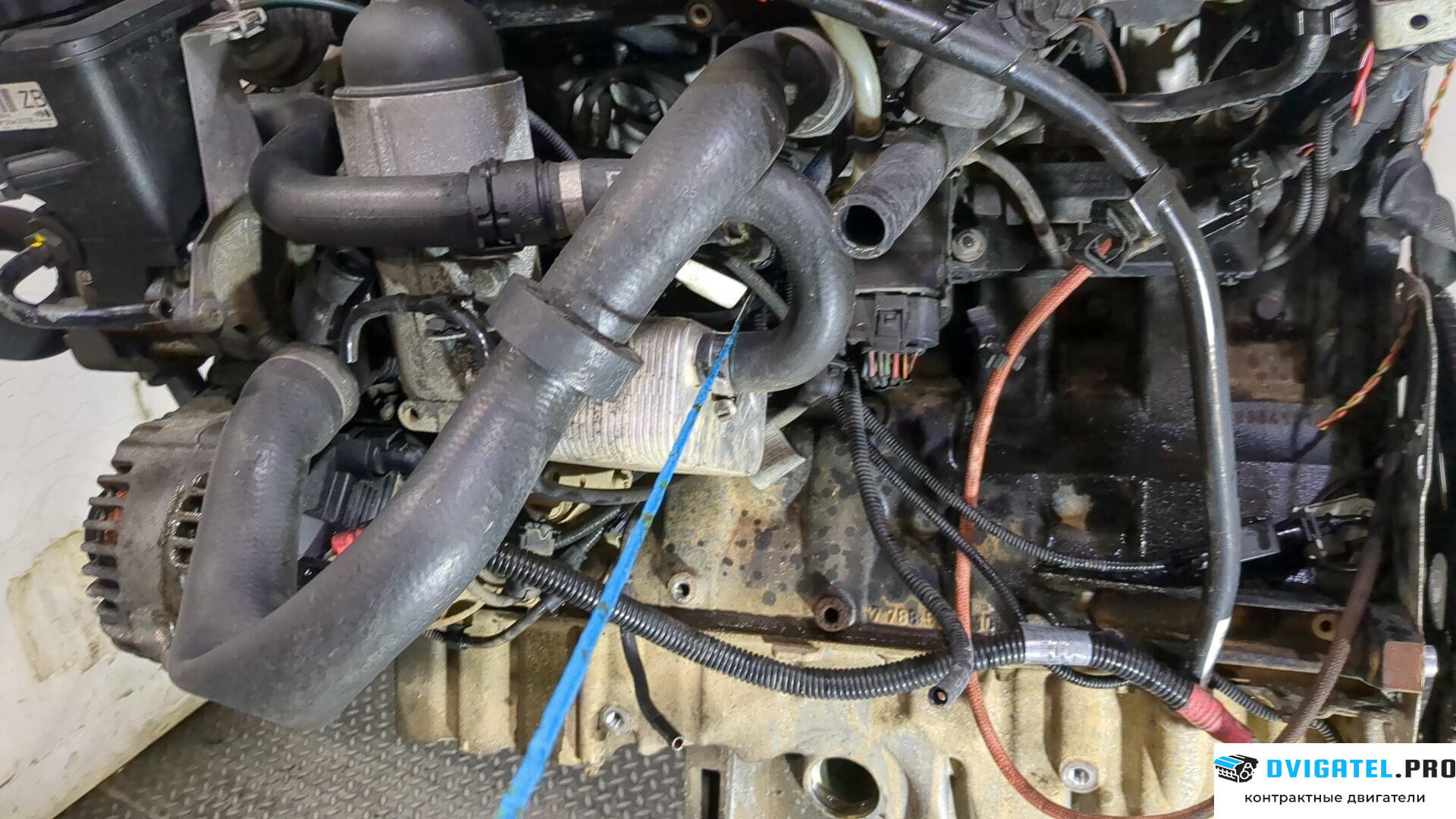 Двигатель BMW X5 E53 2000 - 2007 30 6D 2 3 л., Дизель, Турбо, артикул 9283252