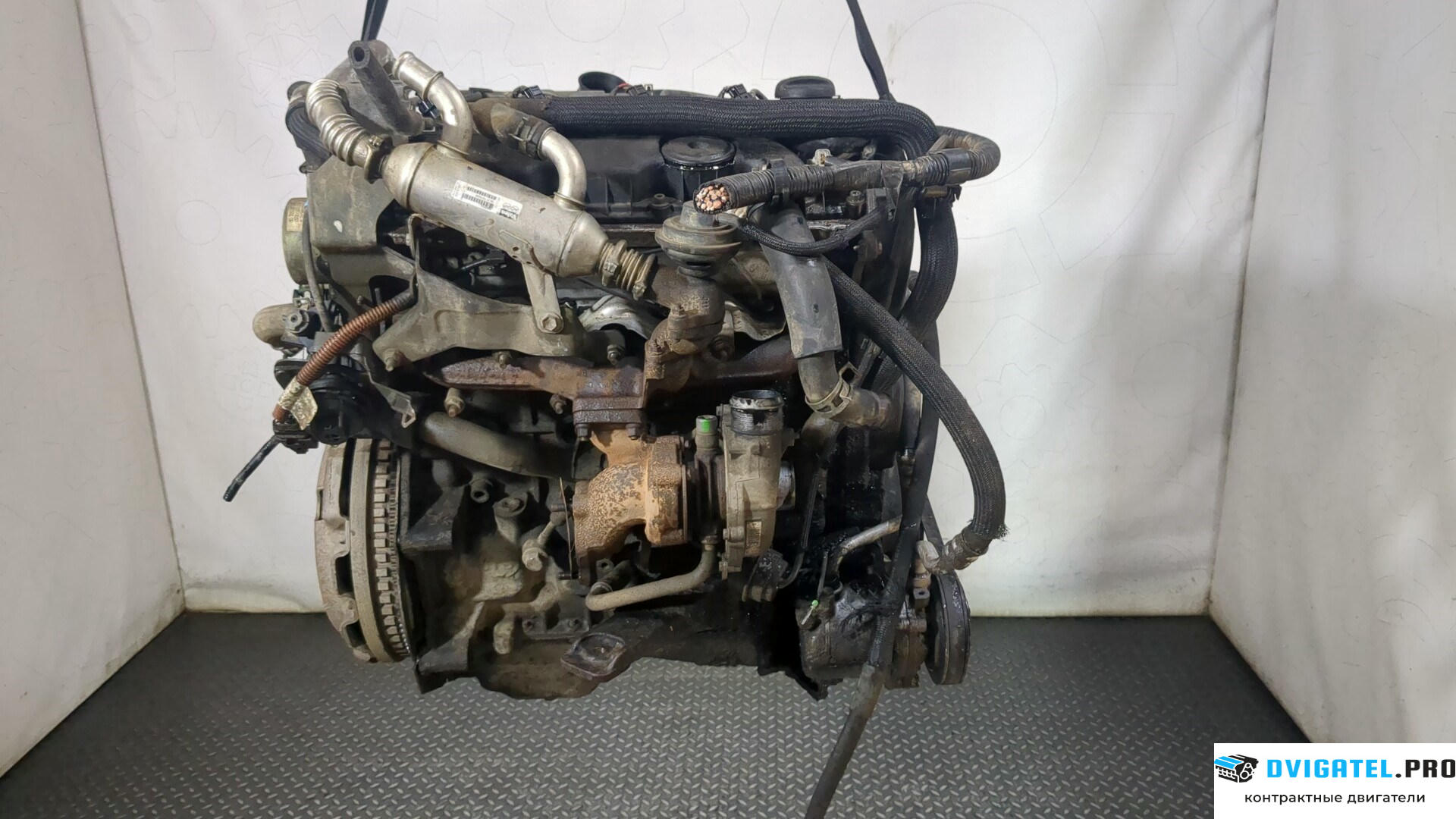Двигатель Suzuki Grand Vitara 1997 - 2005 RHW 2 л., Дизель, Турбо, артикул 8858575