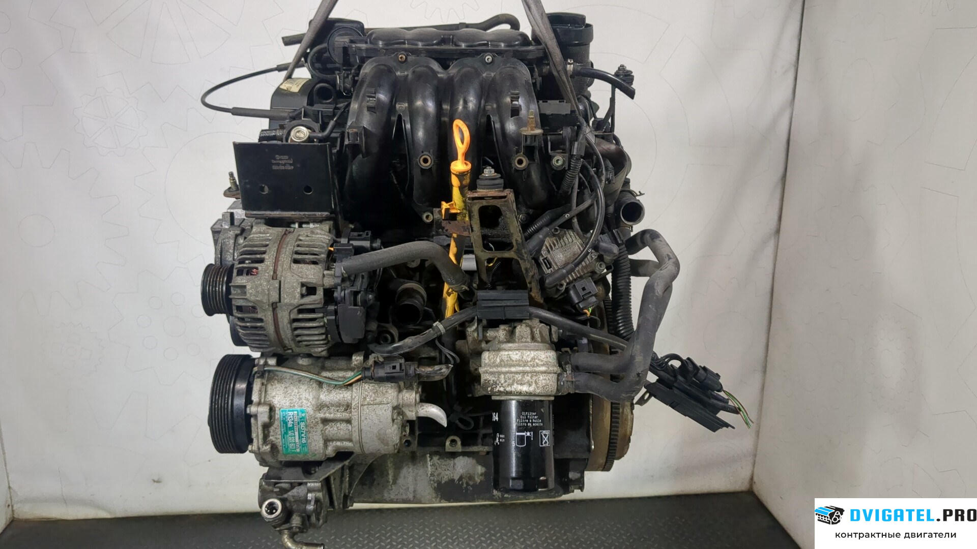 Двигатель Volkswagen Golf 4 1997 - 2005 AKL 1.6 л., Бензин, Инжектор, артикул 8987512