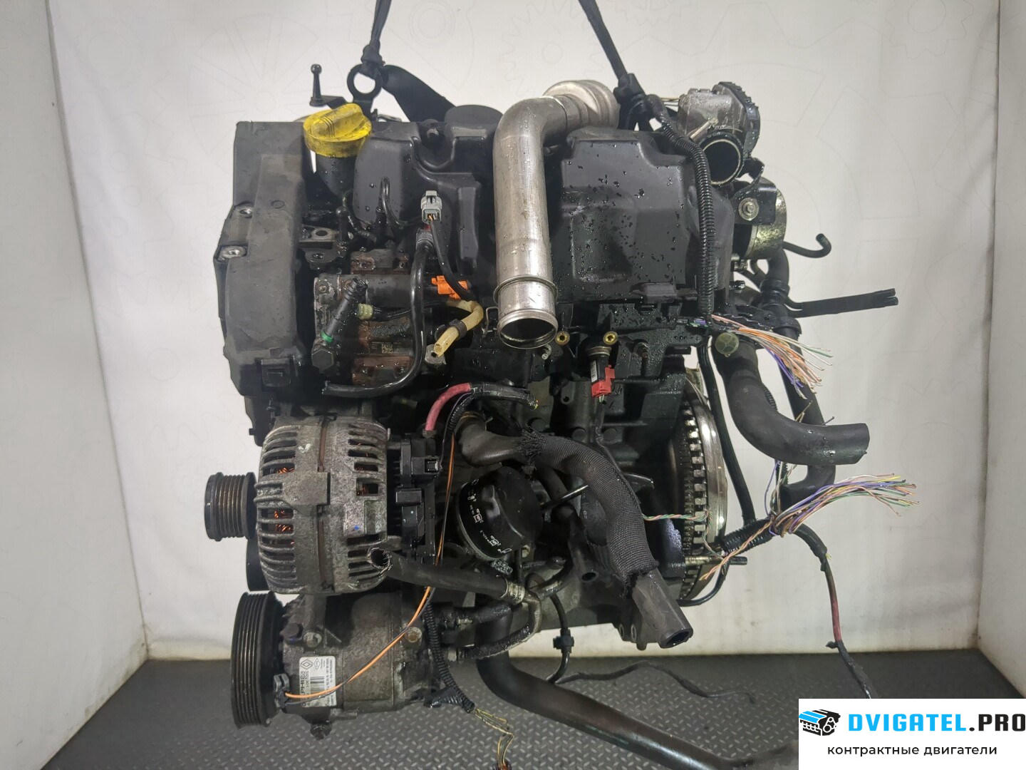 Двигатель Renault Scenic 2003 - 2009 K9K 732 1.5 л., Дизель, DCI, артикул 8629157