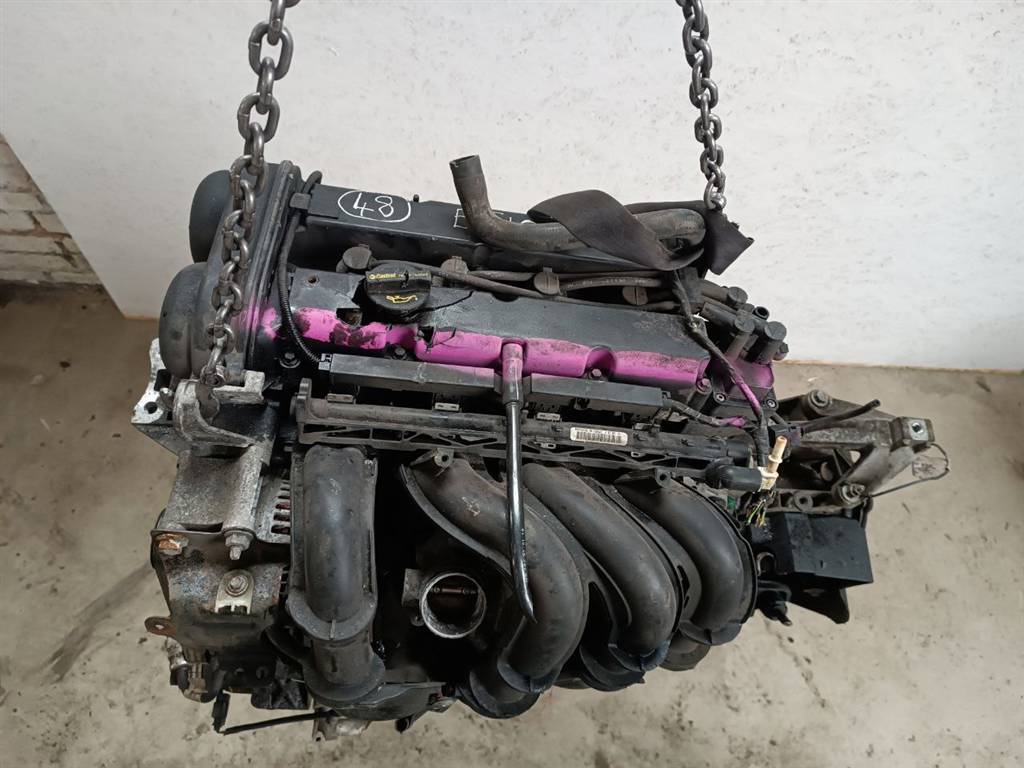 Двигатель SHDB Ford Focus 2 restailing 1.6 Бензин