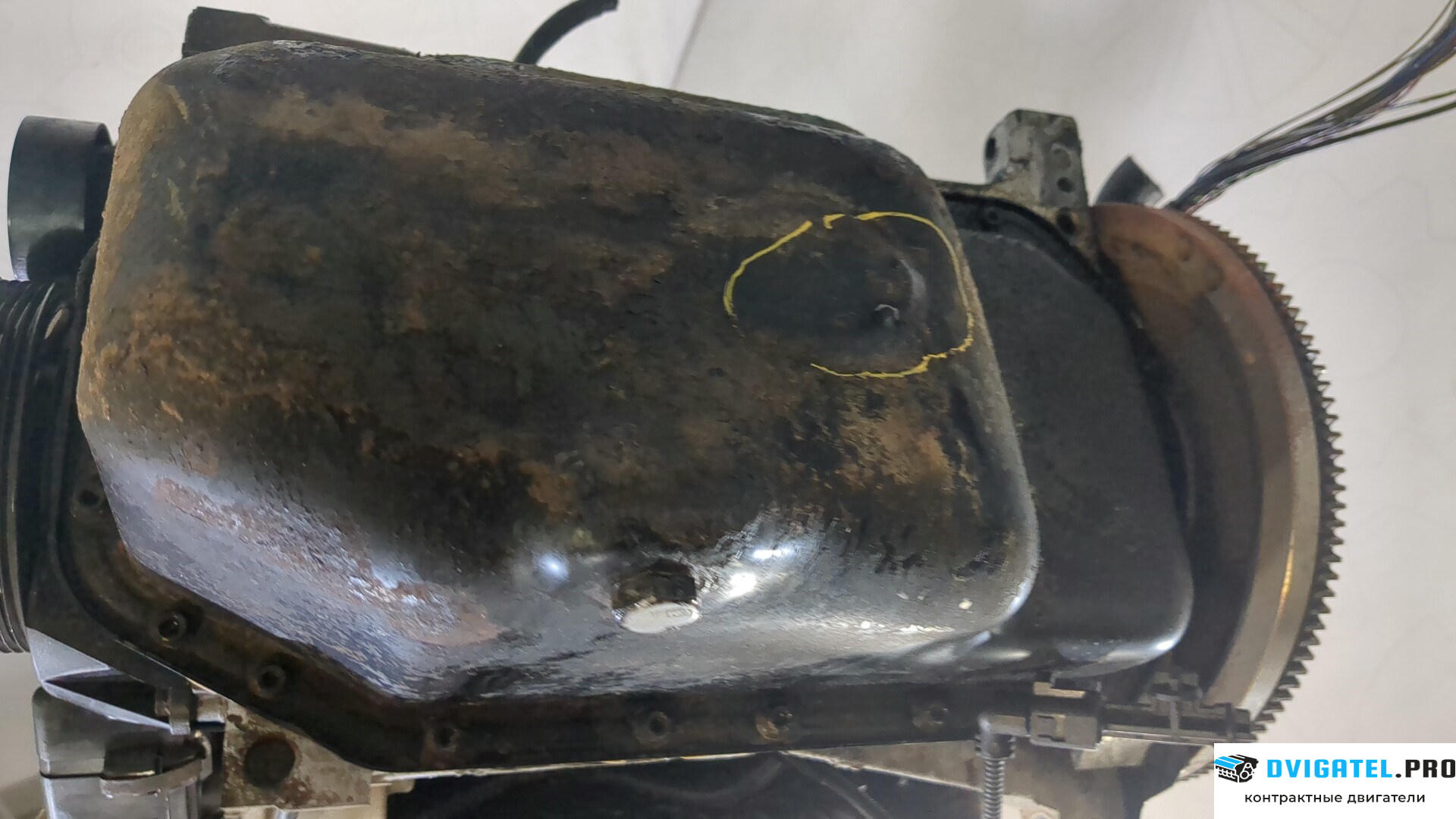 Двигатель Seat Ibiza 3 2001 - 2006 BKY 1.4 л., Бензин, Инжектор, артикул 9138165