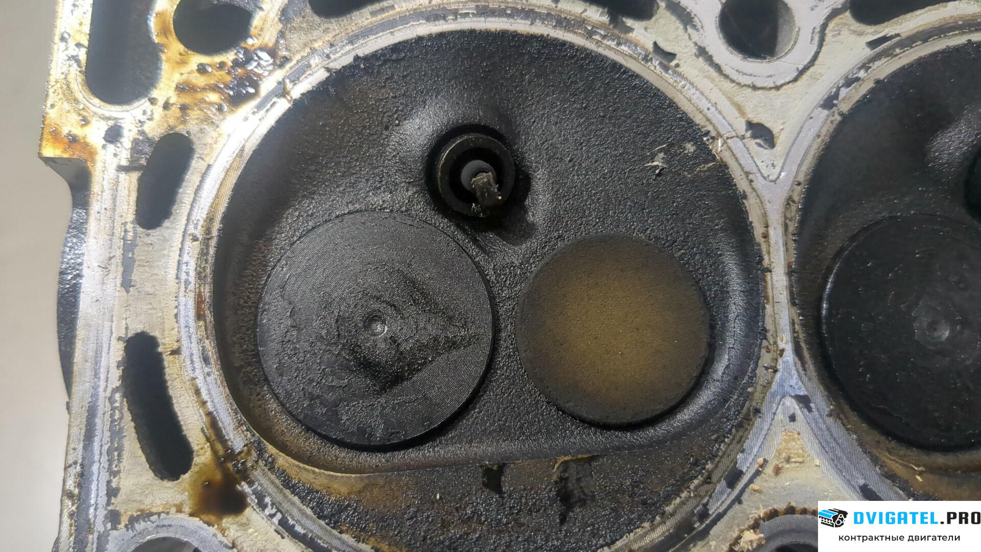 Головка блока цилиндров (ГБЦ) Volkswagen Polo 2001 - 2005 AWY 1.2 л., Бензин, Инжектор, артикул 9212937