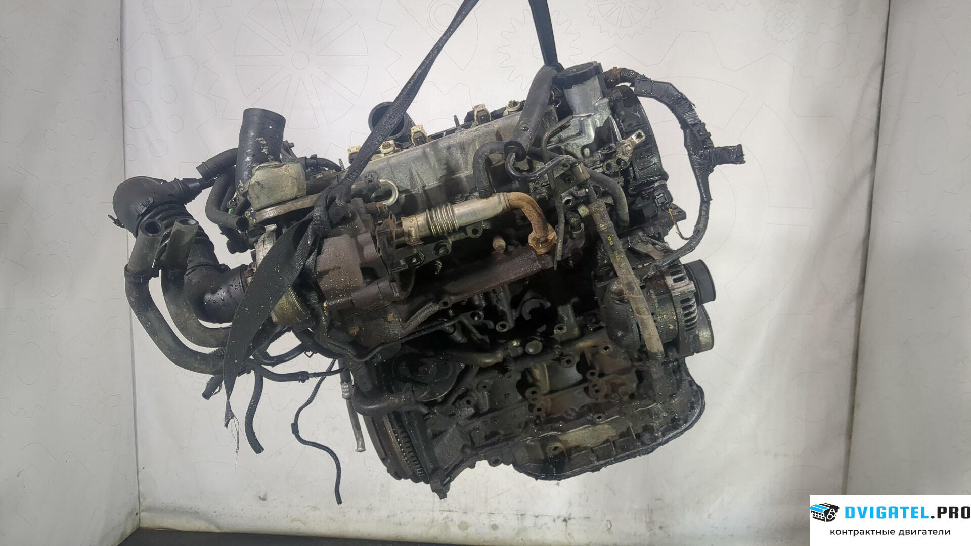 Двигатель Toyota RAV 4 2000 - 2005 1CDFTV 2 л., Дизель, Турбо, артикул 8743855