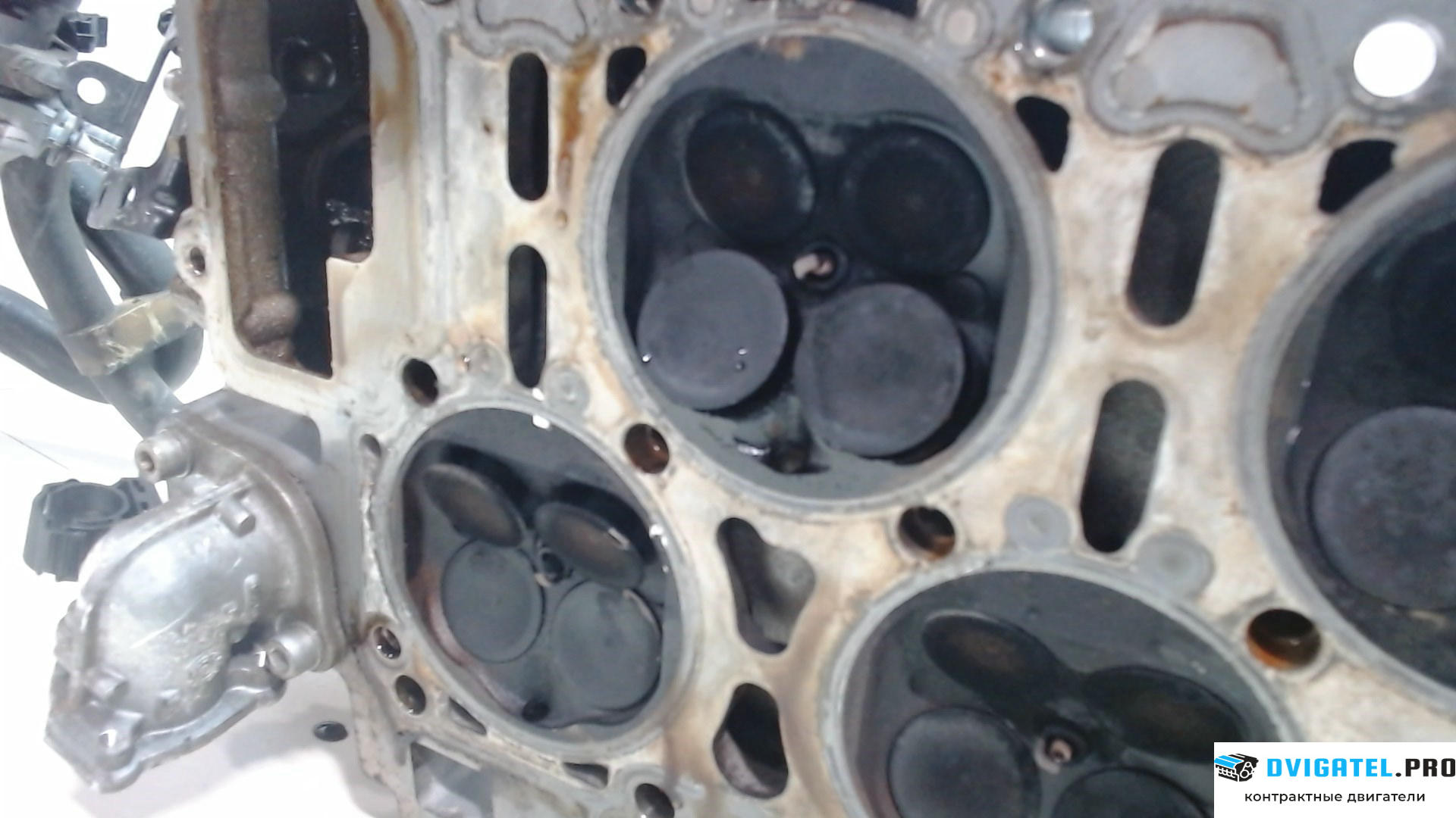 Головка блока цилиндров (ГБЦ) Porsche Cayenne 2007 - 2010 M55.01 3.6 л., Бензин, FSI, артикул 7781918