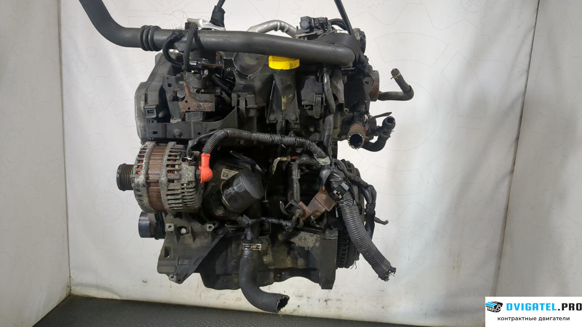 Двигатель Nissan Juke 2010 - 2014 K9K 1.5 л., Дизель, DCI, артикул 9048593