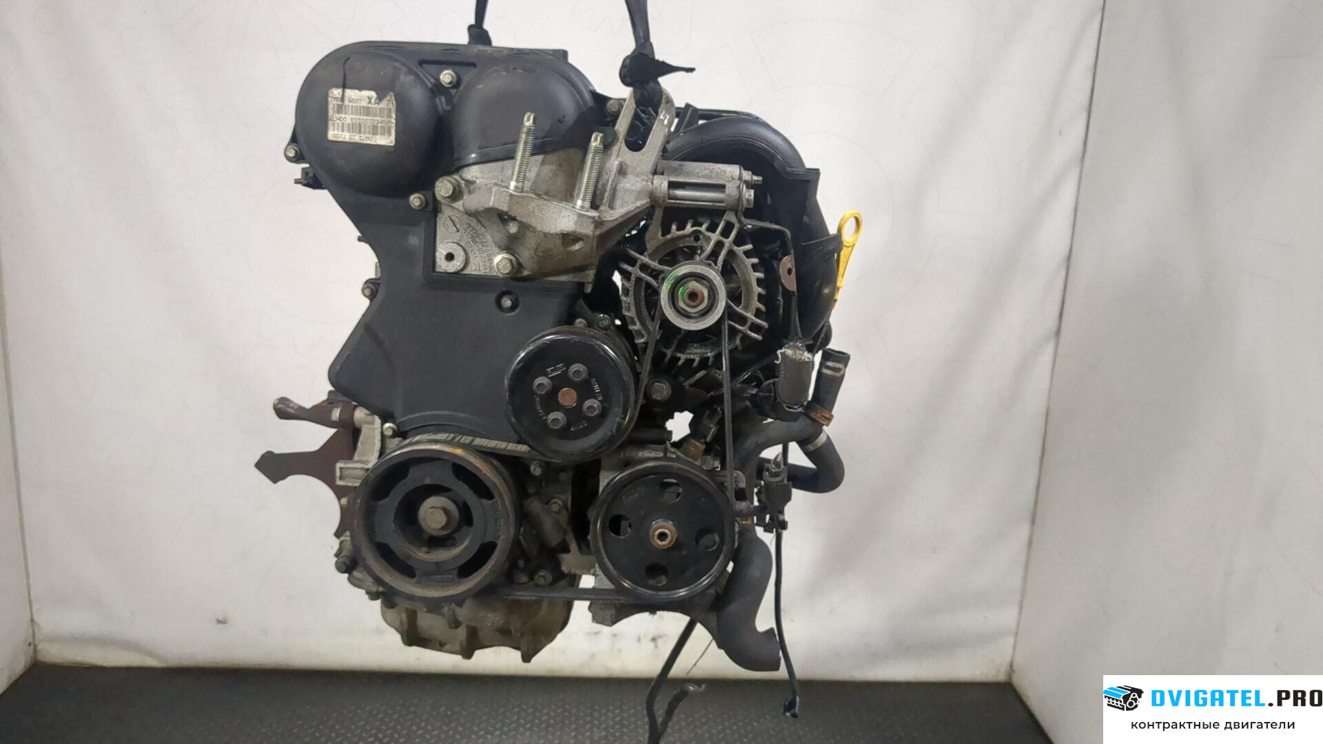 Двигатель Ford Focus 2 2005 - 2008 SHDA 1.6 л., Бензин, HPDC Инжектор, артикул 9179324
