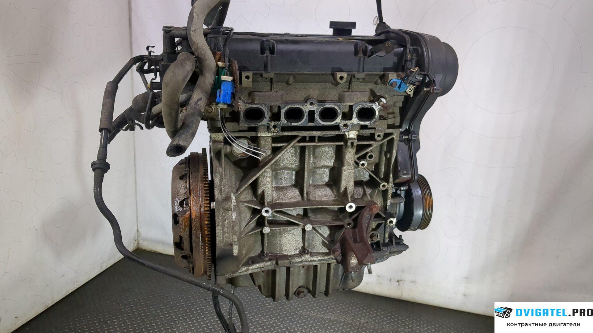 Двигатель Ford Focus 2 2008 - 2011 SHDA, SHDC 1.6 л., Бензин, Инжектор, артикул 9163931
