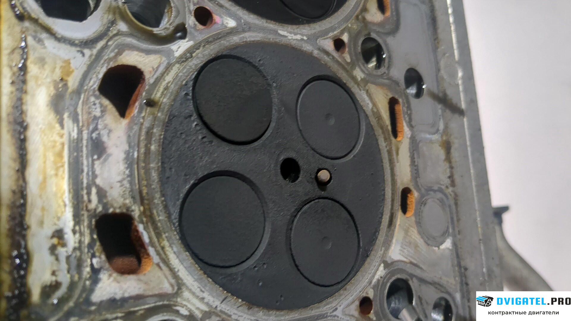 Головка блока цилиндров (ГБЦ) Skoda Roomster 2006 - 2010 CAYB 1.4 л., Дизель, TDI, артикул 8920944