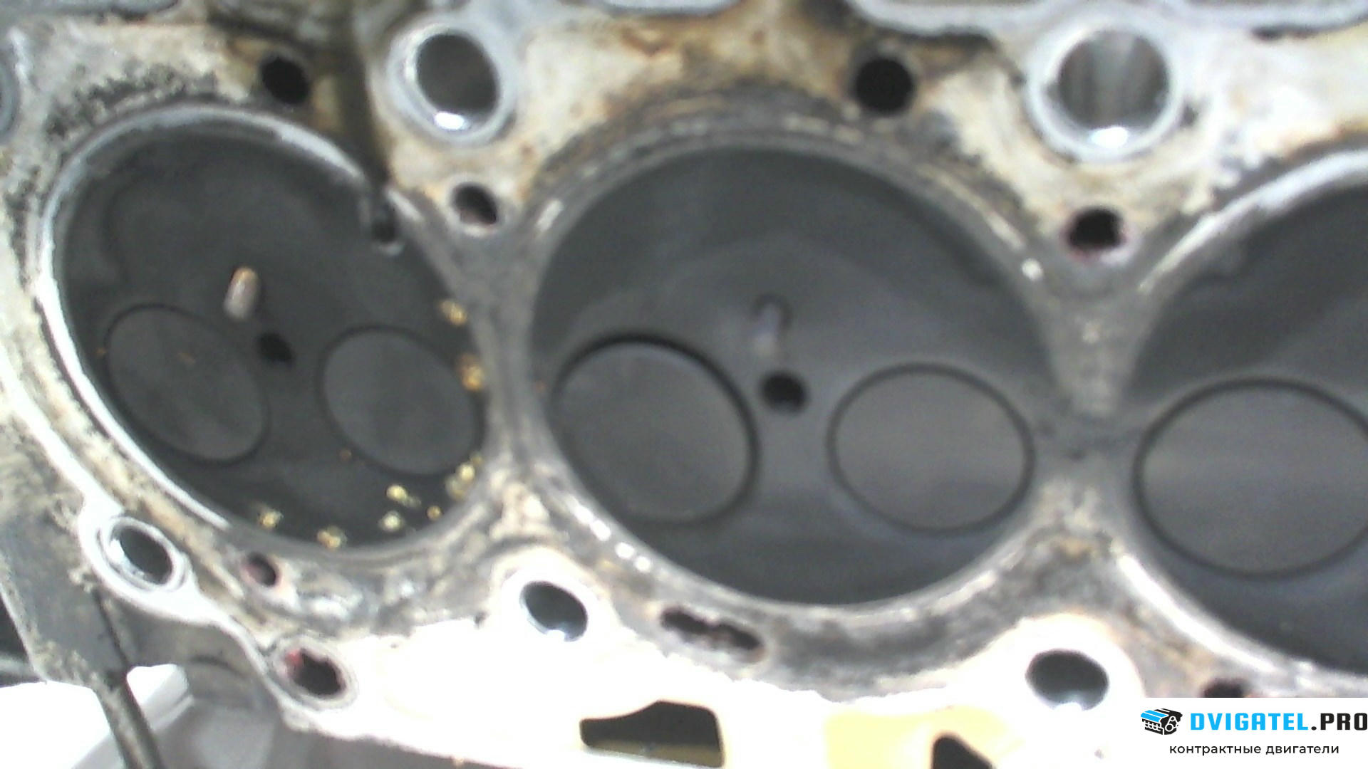 Головка блока цилиндров (ГБЦ) Ford Focus 3 2011 - 2015 T1DB 1.6 л., Дизель, TDCI, артикул 7091064