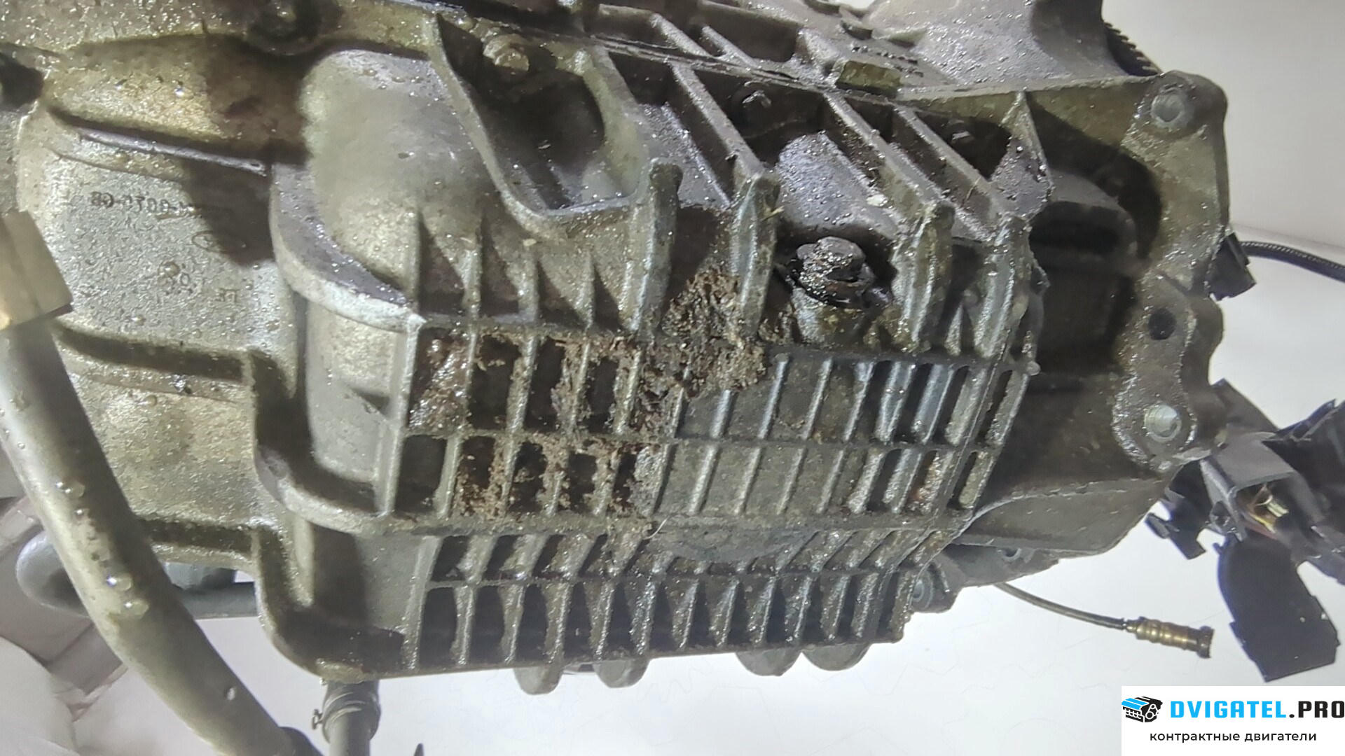Двигатель Ford Fusion 2002 - 2012 FYJA, FYJB, FYJC 1.6 л., Бензин, Инжектор, артикул 9248899