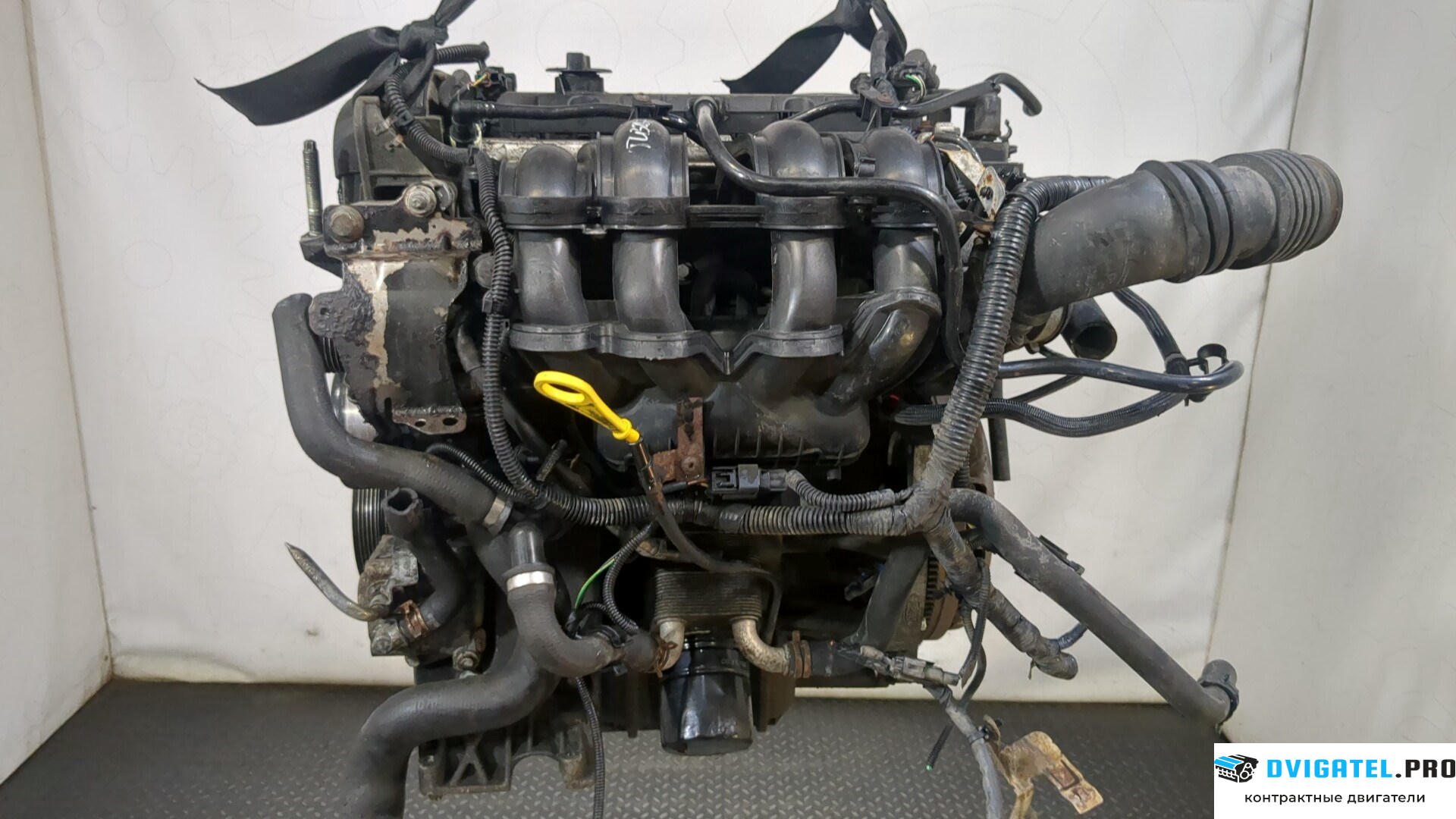 Двигатель Ford Focus 2 2005 - 2008 HXDA, HXDB 1.6 л., Бензин, Ti-VCT, артикул 9232249