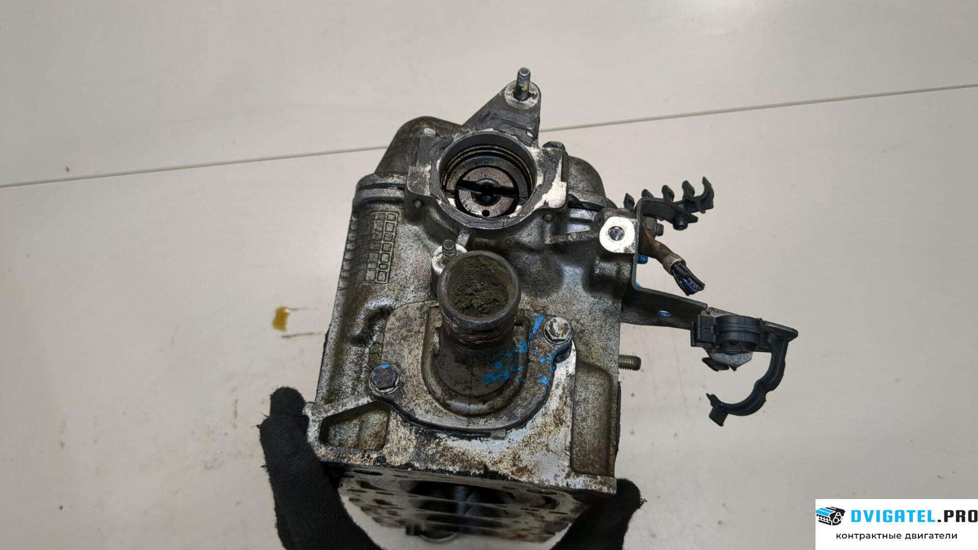 Головка блока цилиндров (ГБЦ) Fiat Seicento 176 B 2.000 1.1 л., Бензин, Моновпрыск, артикул 9268702