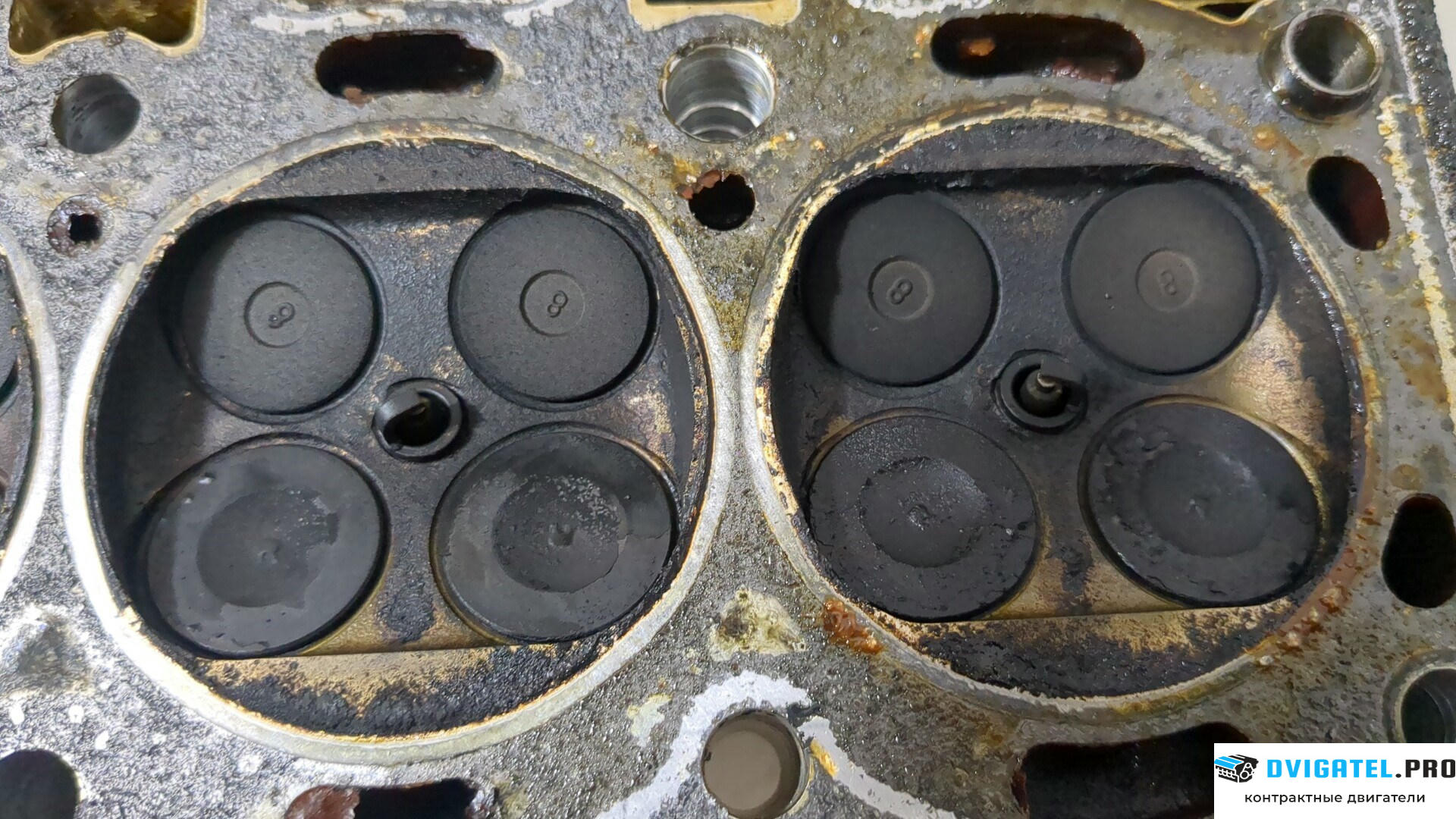 Головка блока цилиндров (ГБЦ) Suzuki Alto 2002 - 2006 F10DN 1.1 л., Бензин, Инжектор, артикул 9227306