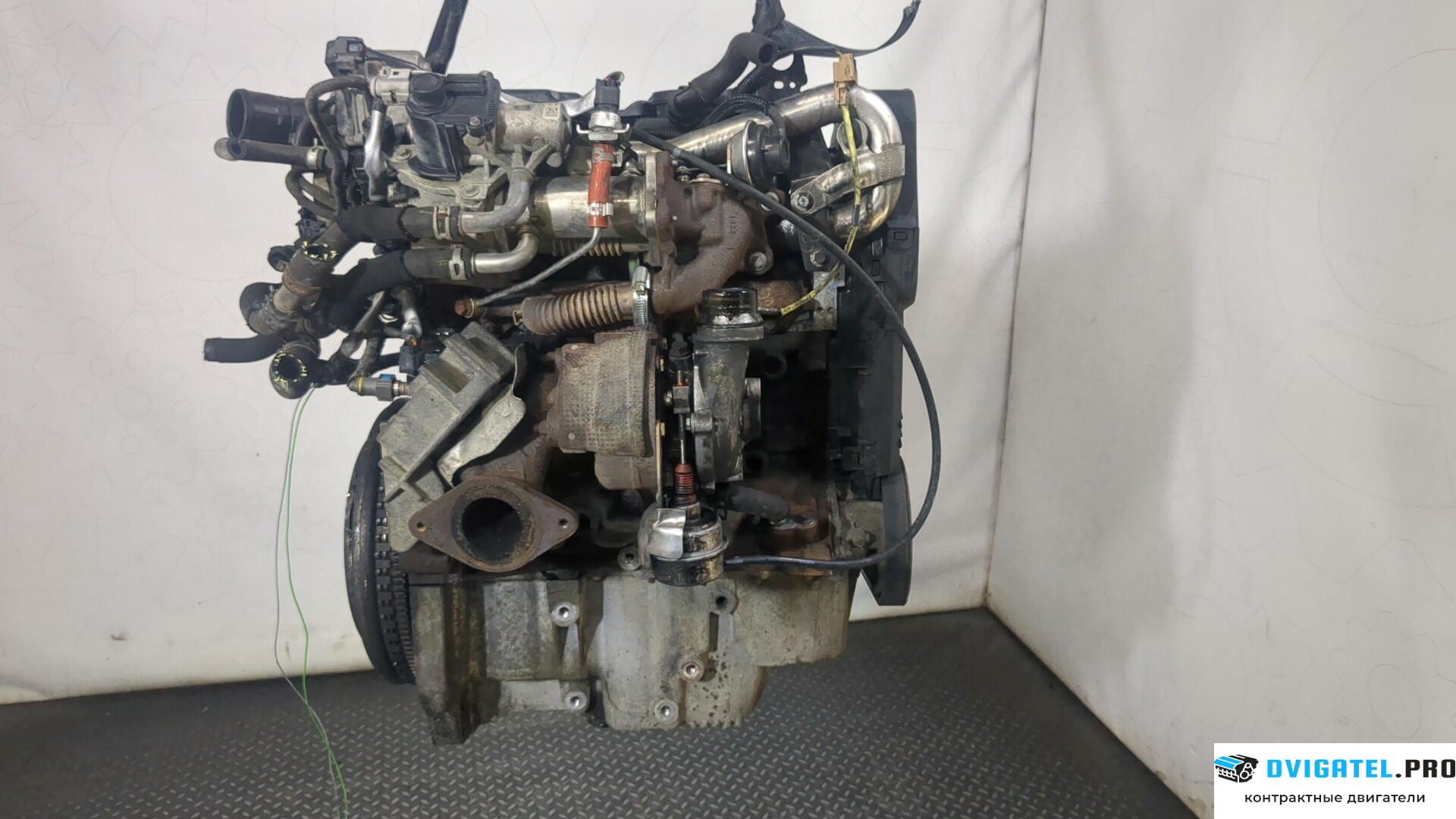 Двигатель Nissan Qashqai 2006 - 2013 K9K 1.5 л., Дизель, DCI, артикул 8925816