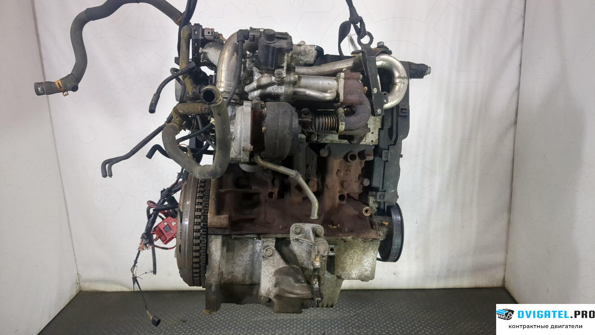 Двигатель Renault Megane 2 2002 - 2009 K9K 732 1.5 л., Дизель, DCI, артикул 8955790