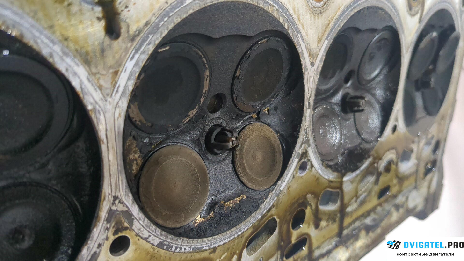 Головка блока цилиндров (ГБЦ) BMW 3 E90, E91, E92, E93 2005 - 2012 N43B20A 2 л., Бензин, Инжектор, артикул 8923803