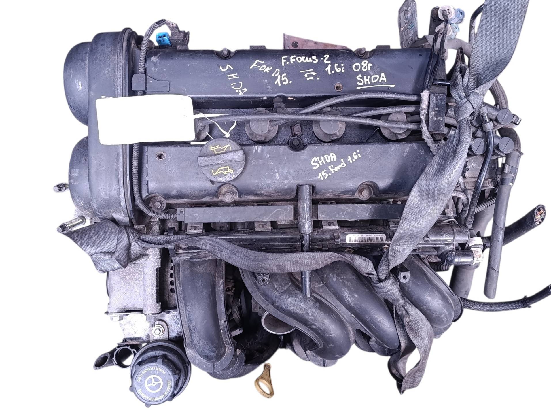 Двигатель SHDA Ford Focus 2 restailing 1.6 Бензин