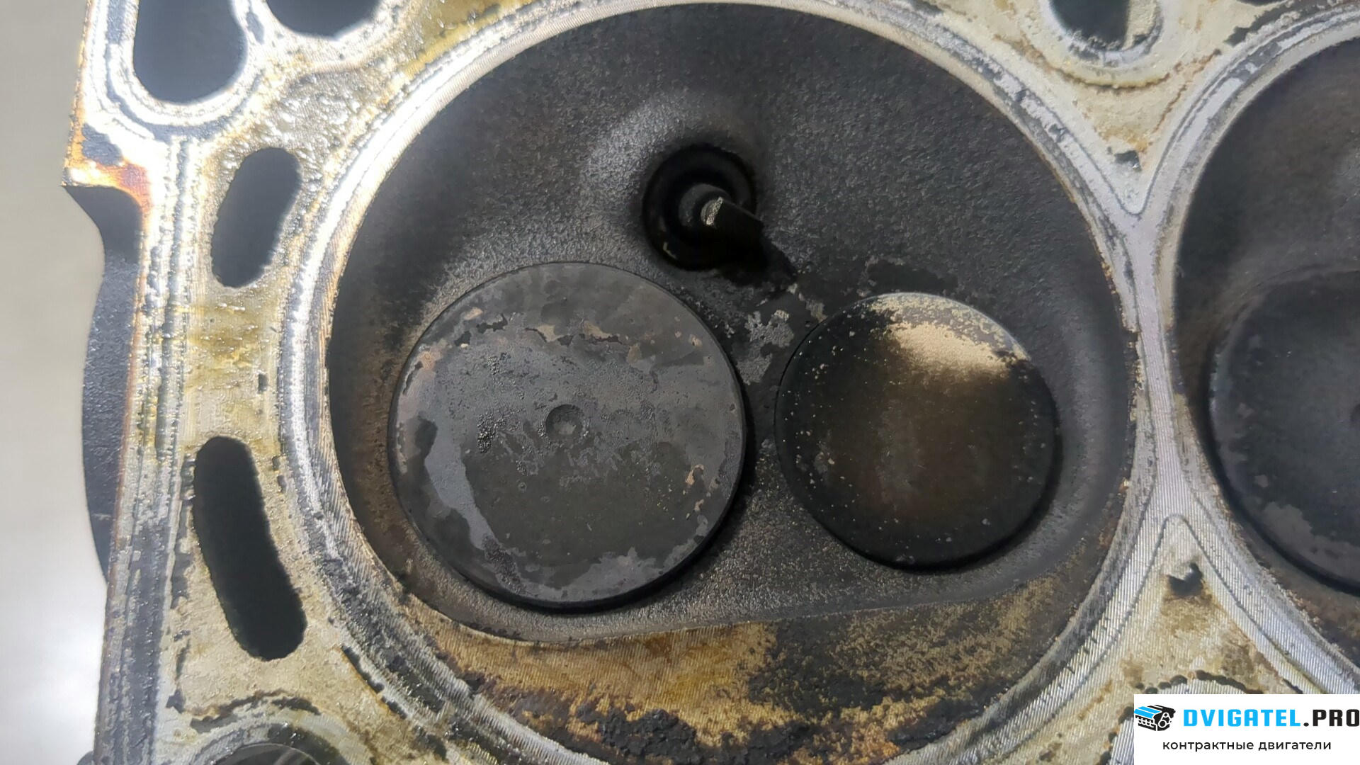 Головка блока цилиндров (ГБЦ) Volkswagen Fox 2005 - 2011 BMD 1.2 л., Бензин, Инжектор, артикул 9212163