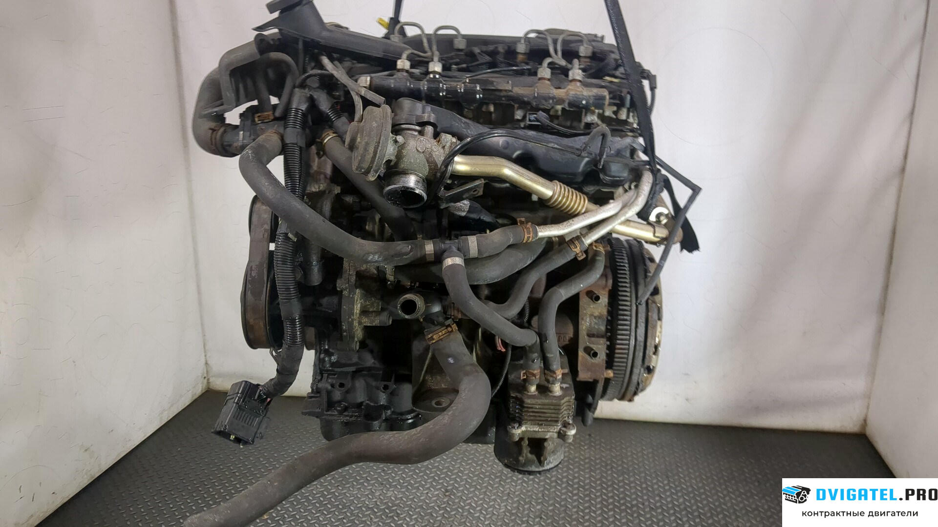 Двигатель Ford Transit 2000 - 2006 H9FA 2.4 л., Дизель, TDCI, артикул 9247970