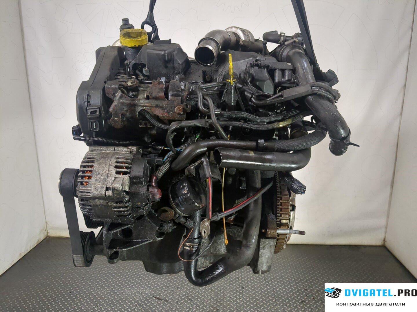 Двигатель Nissan Micra K12E 2003 - 2010 K9K 1.5 л., Дизель, DCI, артикул 8568434