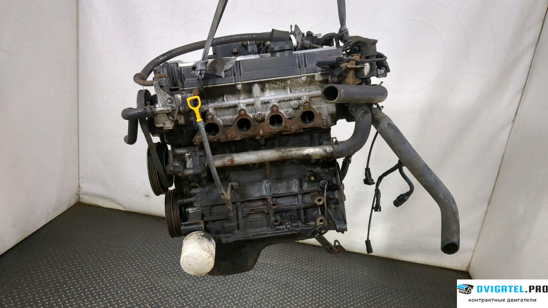 Двигатель Hyundai Accent 2000 - 2006 G4ED 1.6 л., Бензин, Инжектор, артикул 9211635