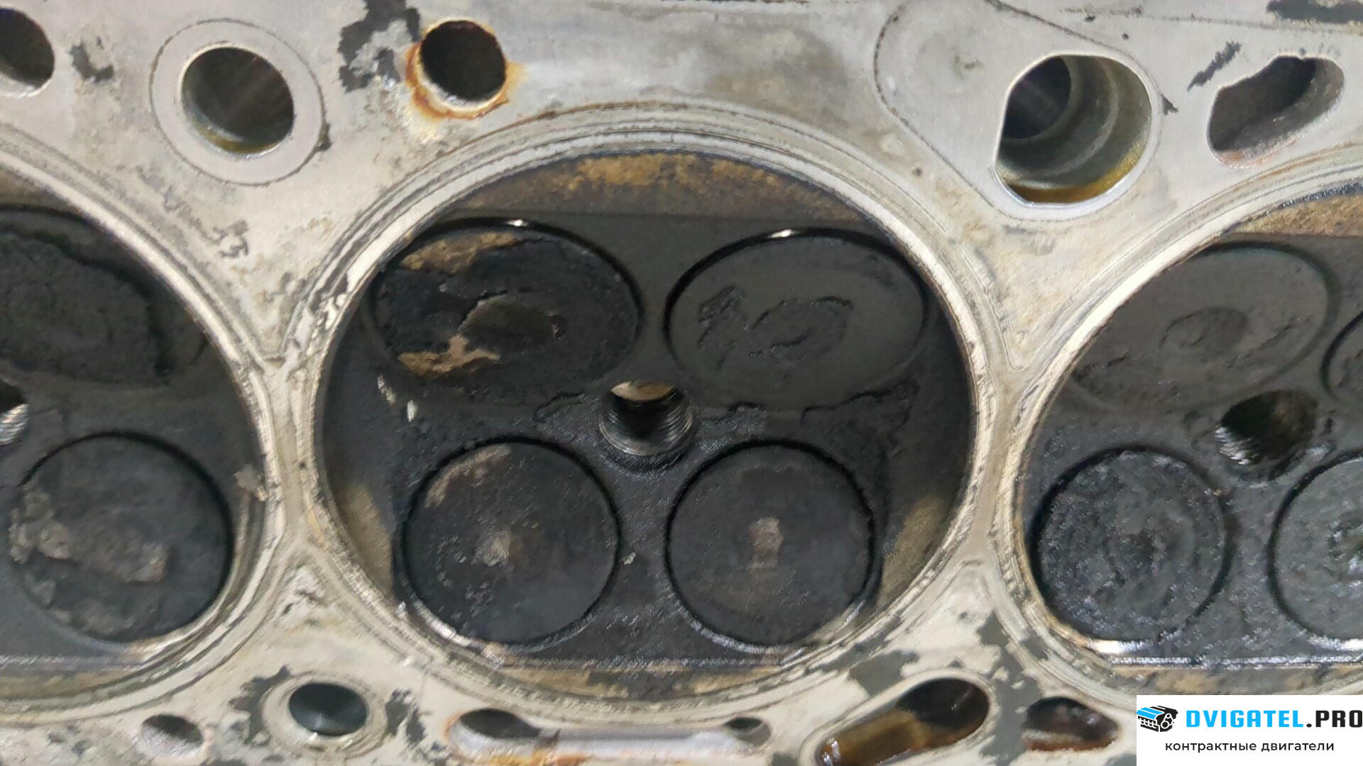 Головка блока цилиндров (ГБЦ) Opel Vectra B 1995 - 2002 Y16XE 1.6 л., Бензин, Инжектор, артикул 8733790