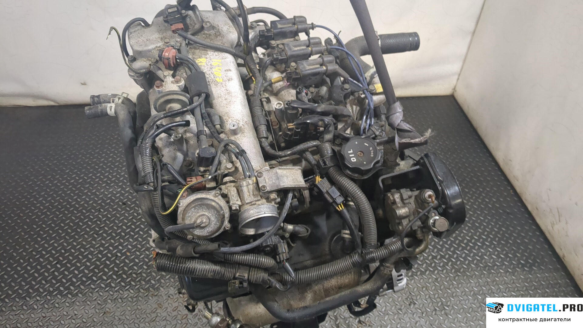 Двигатель Mitsubishi Montero Sport / Pajero Sport 1996 - 2008 6G74 3.5 л., Бензин, Инжектор, артикул 8351021