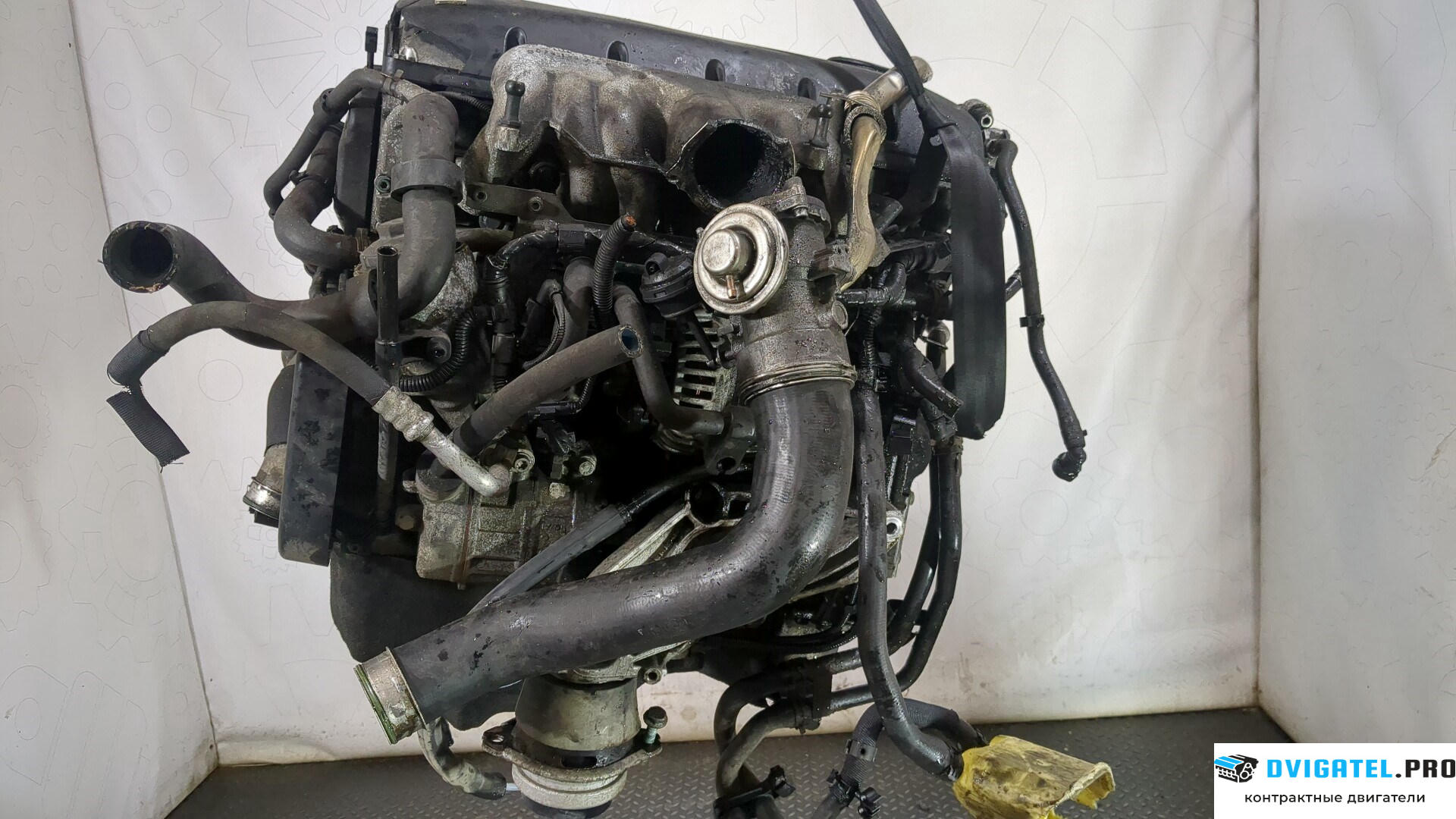 Двигатель Volkswagen Touareg 2002 - 2007 BAC 2.5 л., Дизель, TDI, артикул 8744142