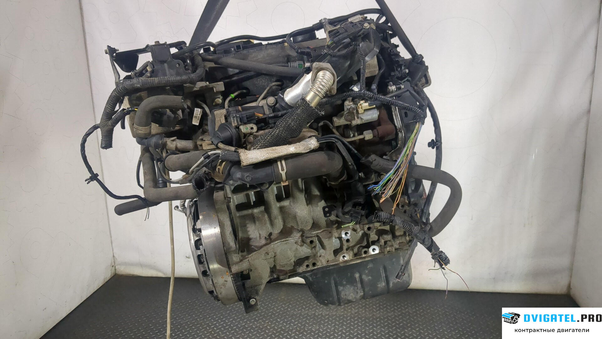 Двигатель Ford Focus 3 2011 - 2015 T1DB 1.6 л., Дизель, TDCI, артикул 9032887