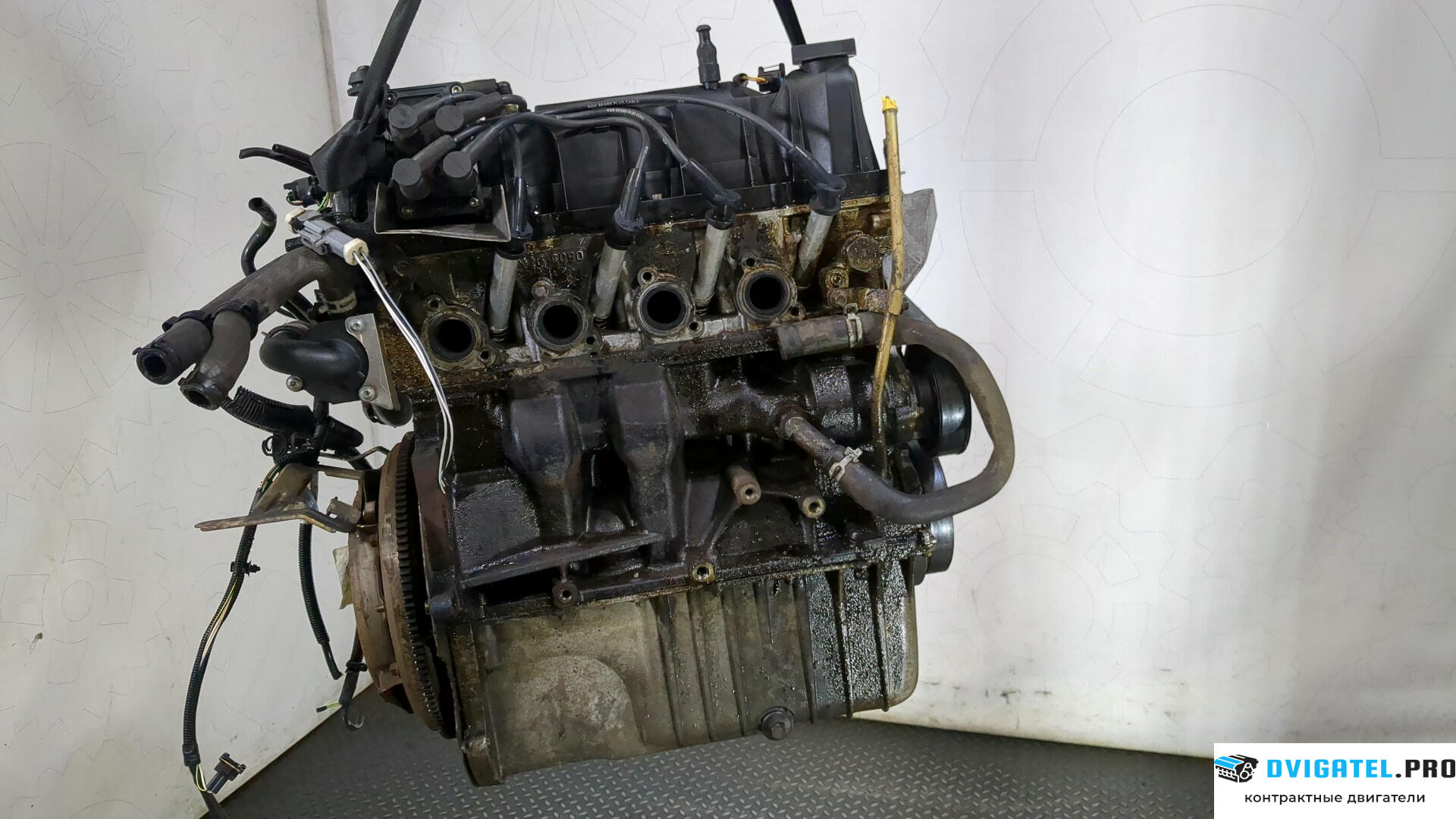 Двигатель Ford Fiesta 2001 - 2007 BAJA 1.3 л., Бензин, Инжектор, артикул 9245323