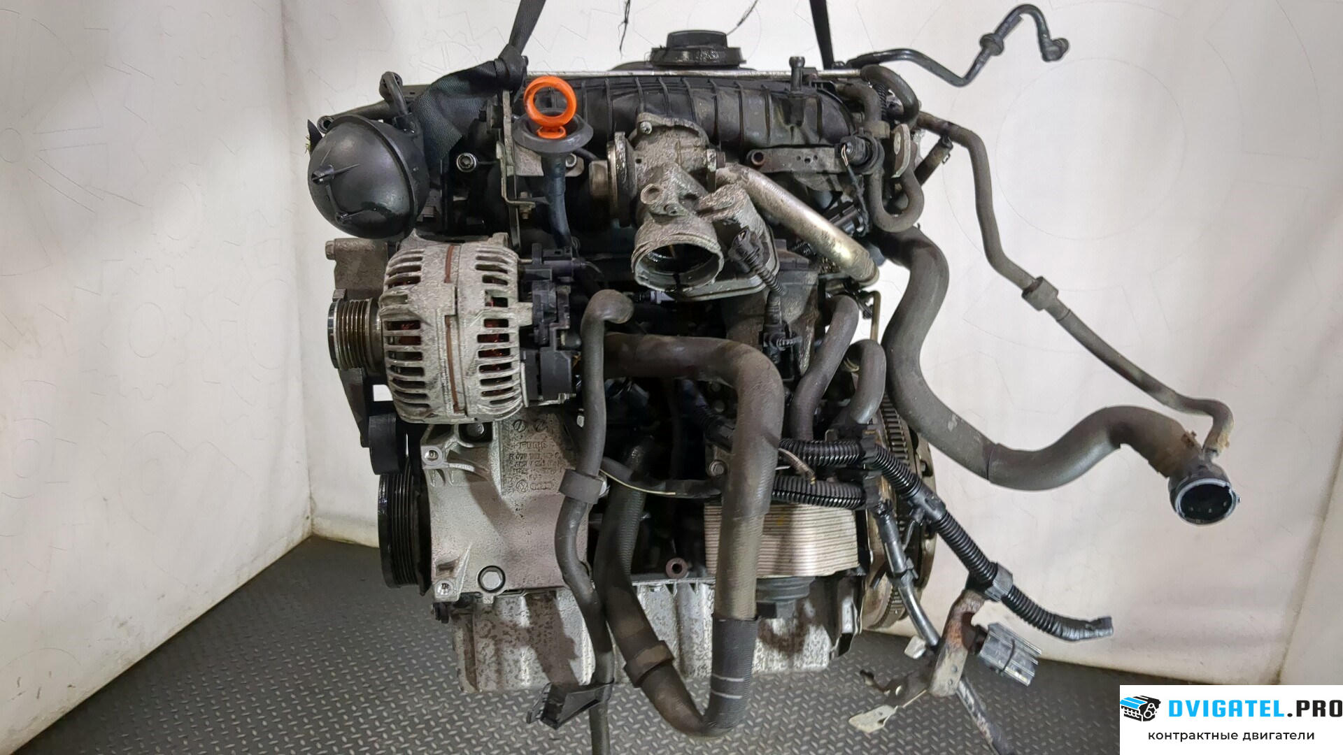 Двигатель Volkswagen Jetta 5 2004 - 2010 BKD 2 л., Дизель, TDI, артикул 9280587
