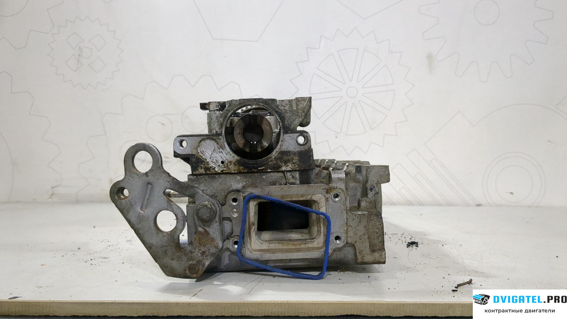 Головка блока цилиндров (ГБЦ) Ford Focus 3 2011 - 2015 T1DB 1.6 л., Дизель, TDCI, артикул 9225373