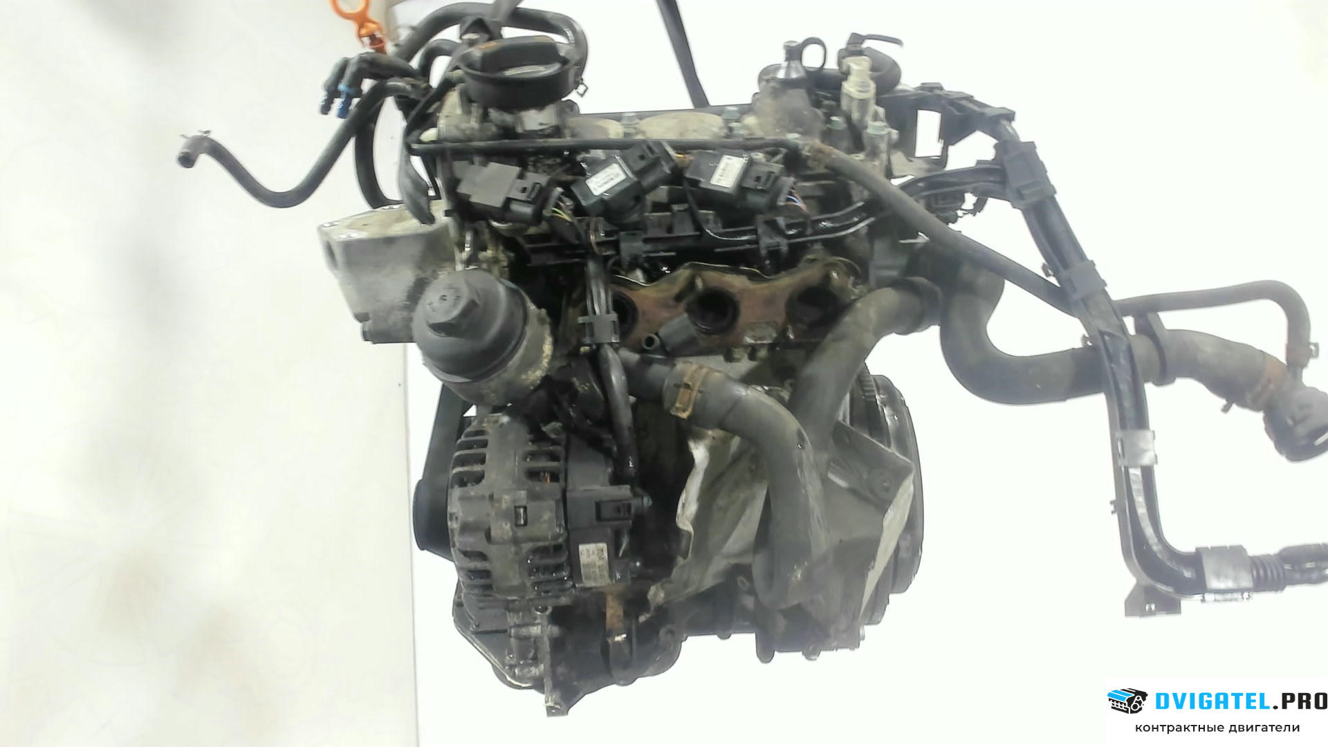 Двигатель Volkswagen Polo 2001 - 2005 AWY 1.2 л., Бензин, Инжектор, артикул 7239513
