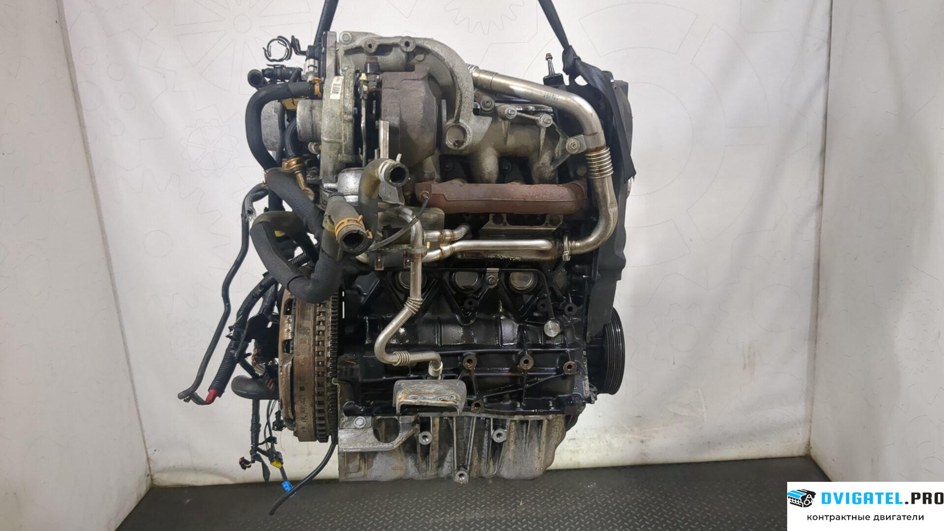 Двигатель Renault Megane 2 2002 - 2009 F9Q 816 1.9 л., Дизель, DCI, артикул 9130901