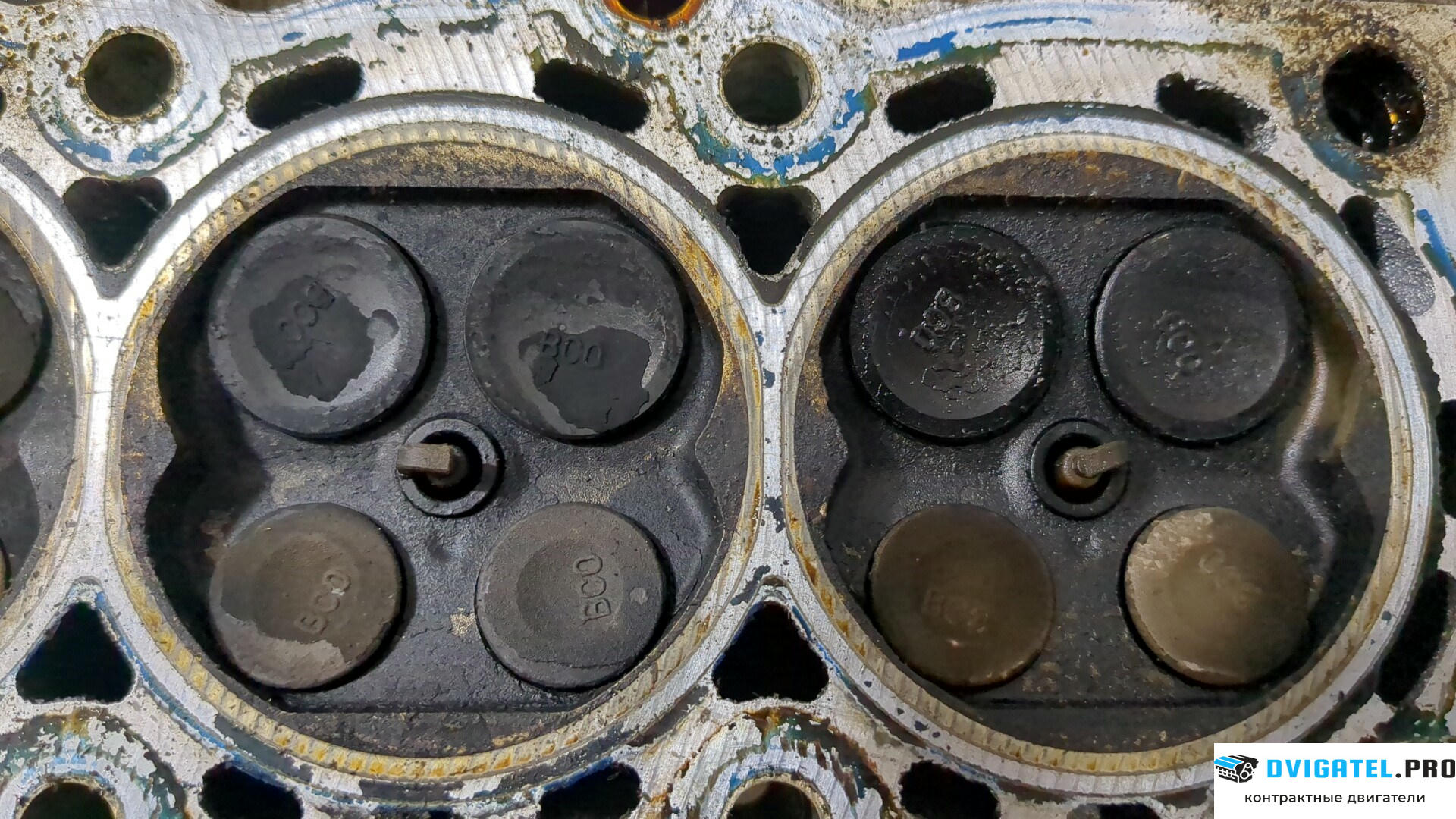 Головка блока цилиндров (ГБЦ) Nissan Note E11 2006 - 2013 CR14DE 1.4 л., Бензин, Инжектор, артикул 9215048