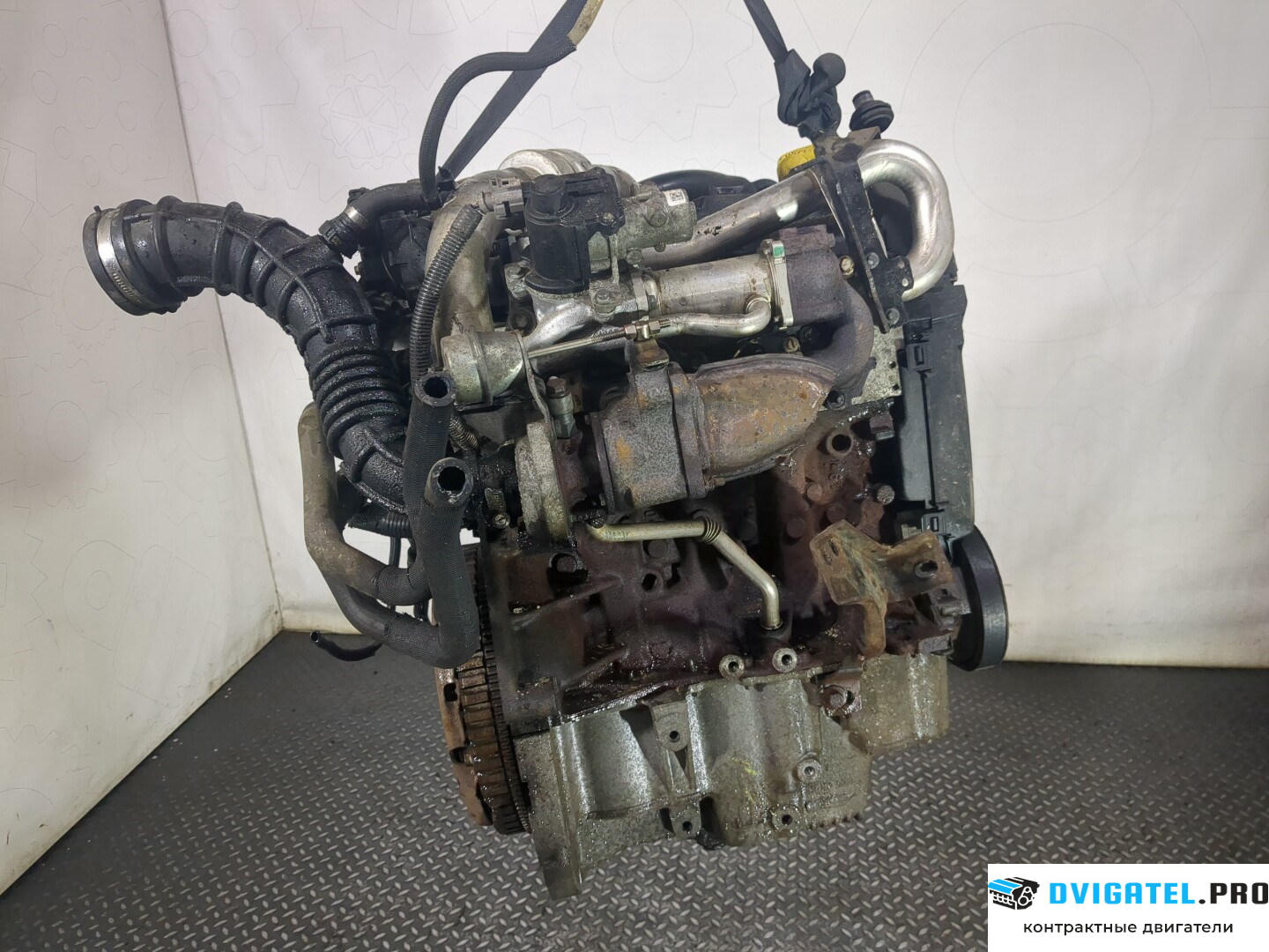 Двигатель Nissan Note E11 2006 - 2013 K9K 1.5 л., Дизель, DCI, артикул 8787562